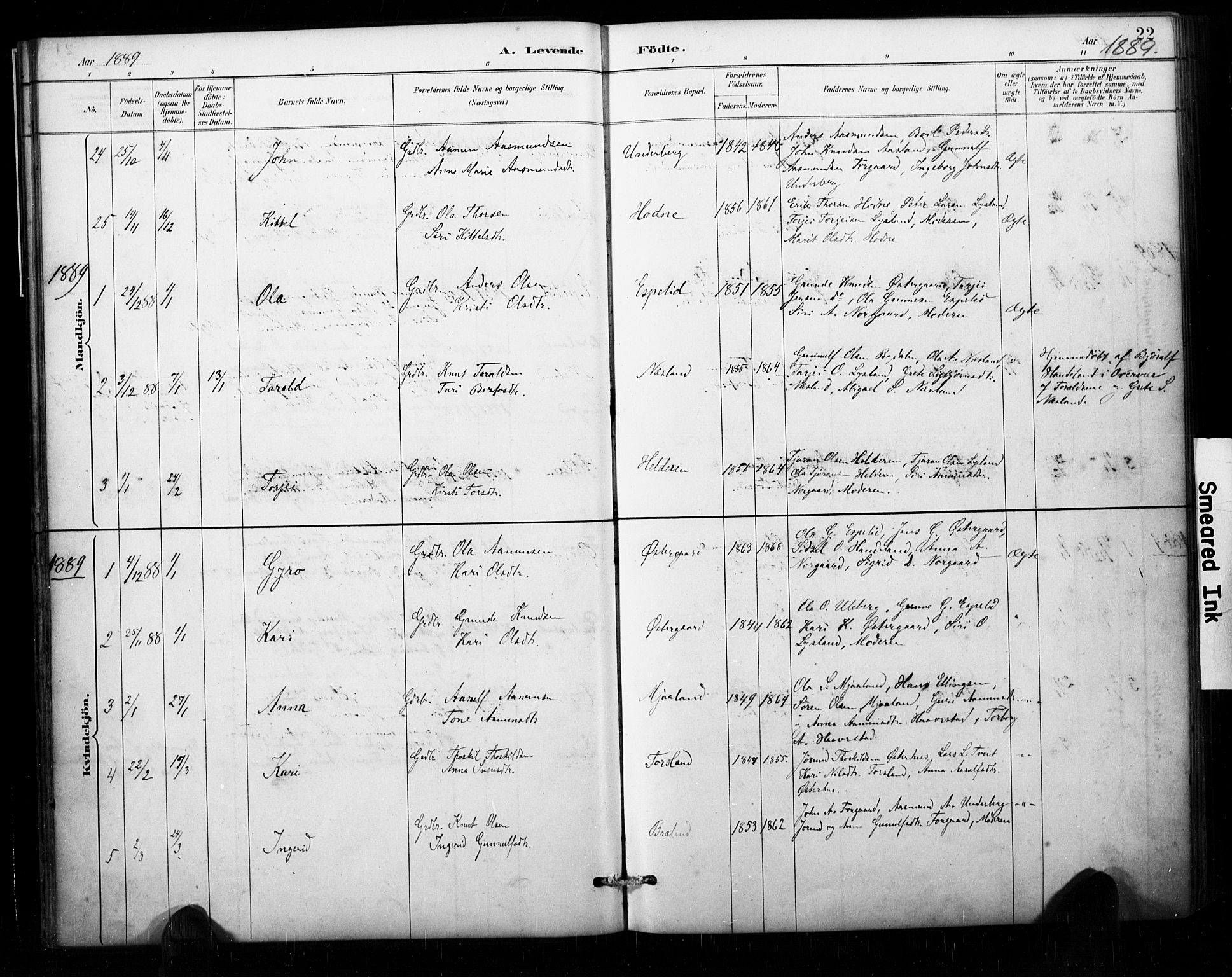 Åseral sokneprestkontor, AV/SAK-1111-0051/F/Fa/L0003: Parish register (official) no. A 3, 1884-1901, p. 22