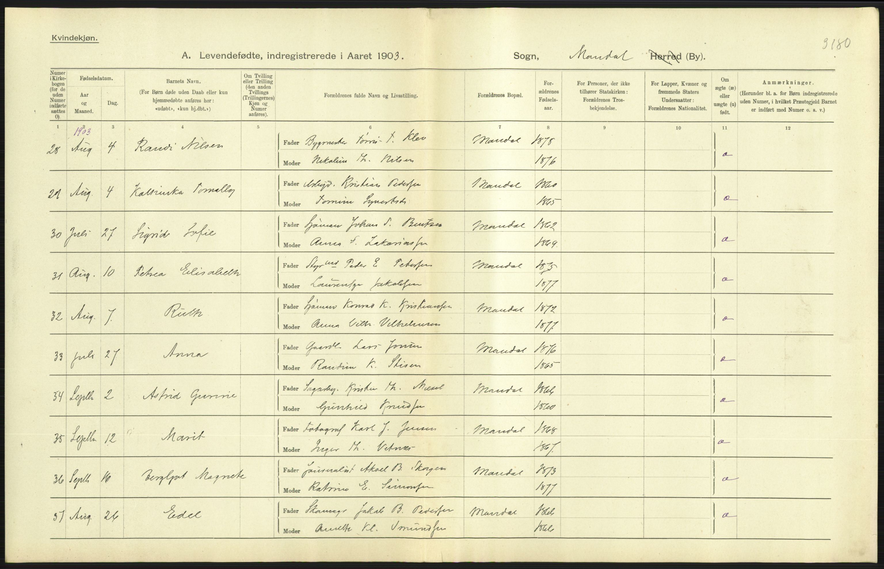 Statistisk sentralbyrå, Sosiodemografiske emner, Befolkning, AV/RA-S-2228/D/Df/Dfa/Dfaa/L0011: Lister og Mandal amt: Fødte, gifte, døde, 1903, p. 205