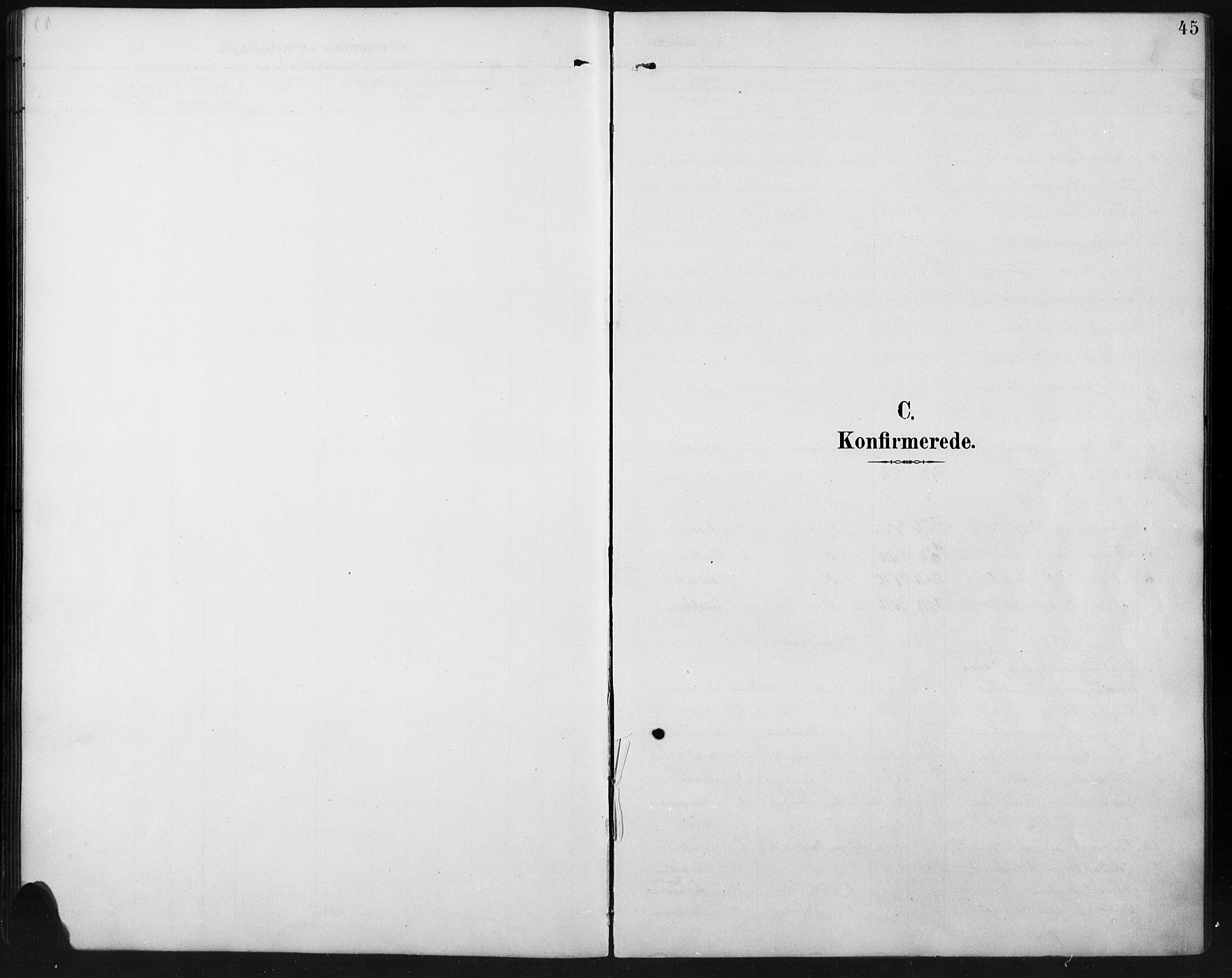 Ringebu prestekontor, SAH/PREST-082/H/Ha/Hab/L0008: Parish register (copy) no. 8, 1890-1922, p. 45
