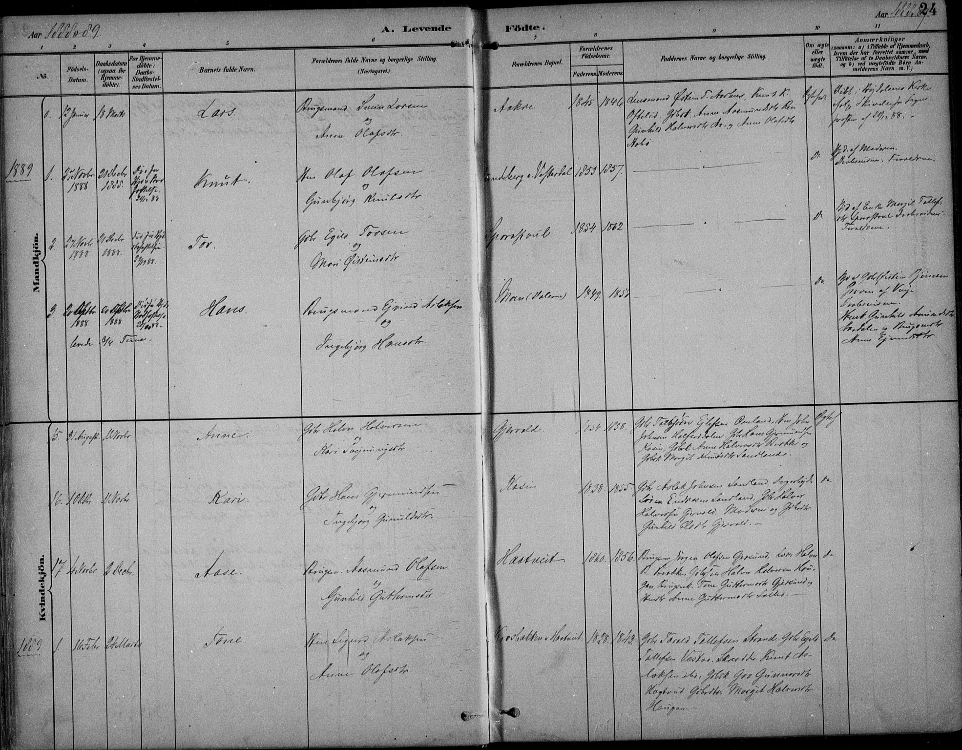 Kviteseid kirkebøker, SAKO/A-276/F/Fb/L0002: Parish register (official) no. II 2, 1882-1916, p. 24