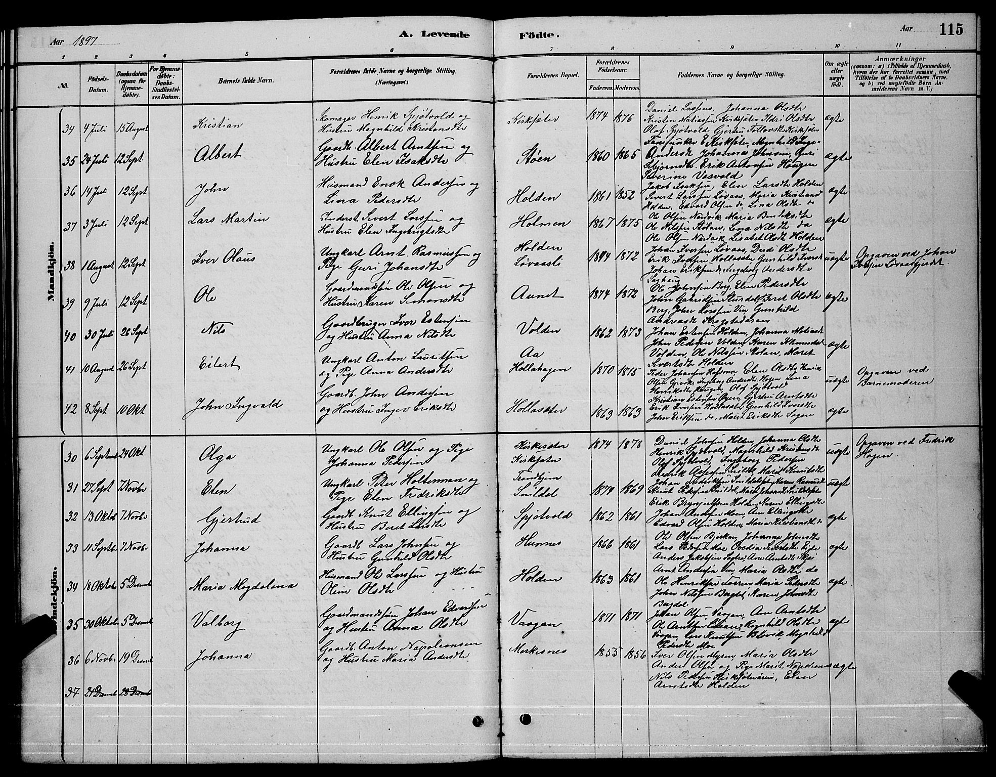 Ministerialprotokoller, klokkerbøker og fødselsregistre - Sør-Trøndelag, SAT/A-1456/630/L0504: Parish register (copy) no. 630C02, 1879-1898, p. 115