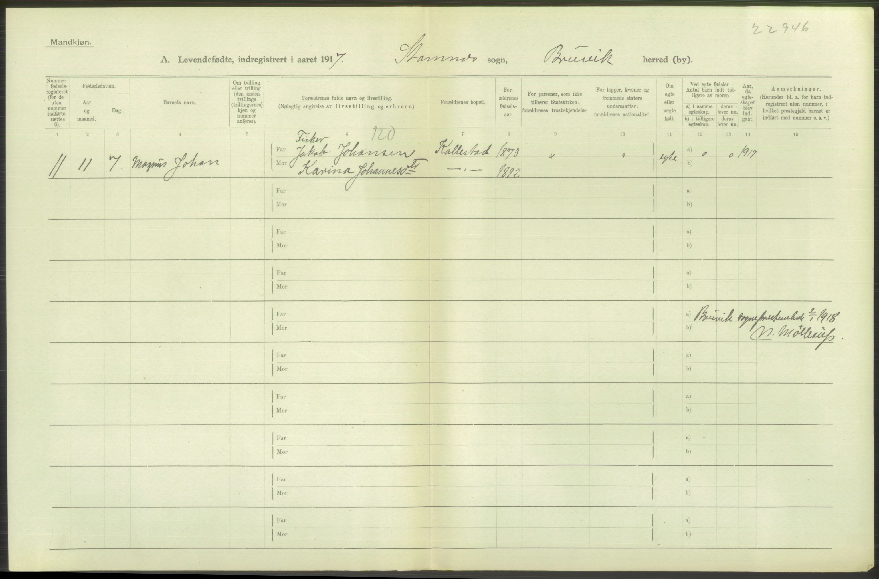 Statistisk sentralbyrå, Sosiodemografiske emner, Befolkning, RA/S-2228/D/Df/Dfb/Dfbg/L0034: S. Bergenhus amt: Levendefødte menn og kvinner. Bygder., 1917, p. 226