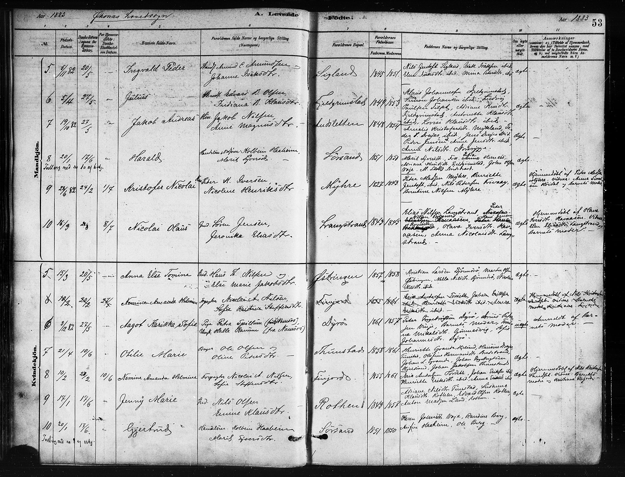 Ministerialprotokoller, klokkerbøker og fødselsregistre - Nordland, AV/SAT-A-1459/893/L1335: Parish register (official) no. 893A08 /1, 1878-1884, p. 53