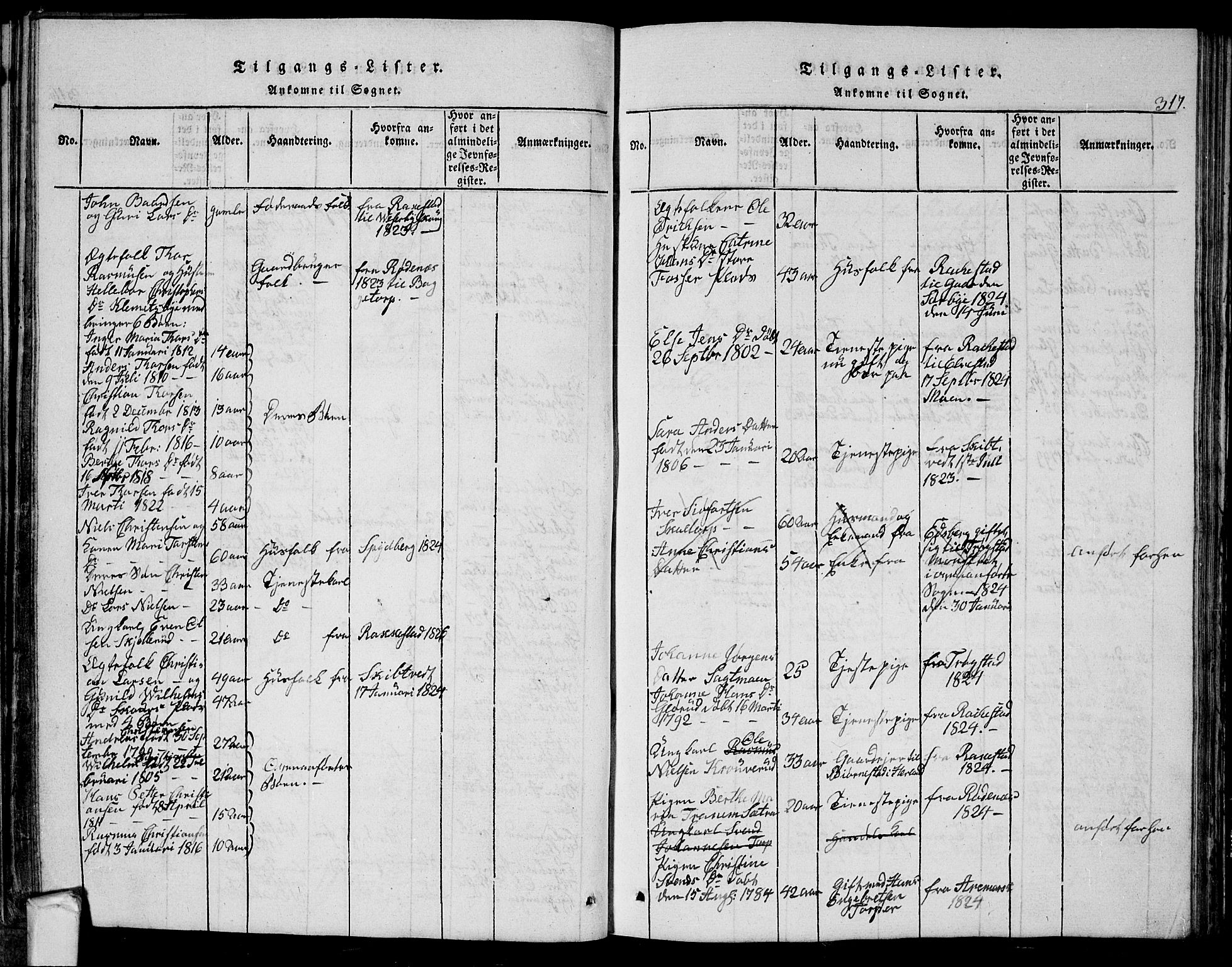 Eidsberg prestekontor Kirkebøker, SAO/A-10905/G/Ga/L0001: Parish register (copy) no. I 1, 1814-1831, p. 317