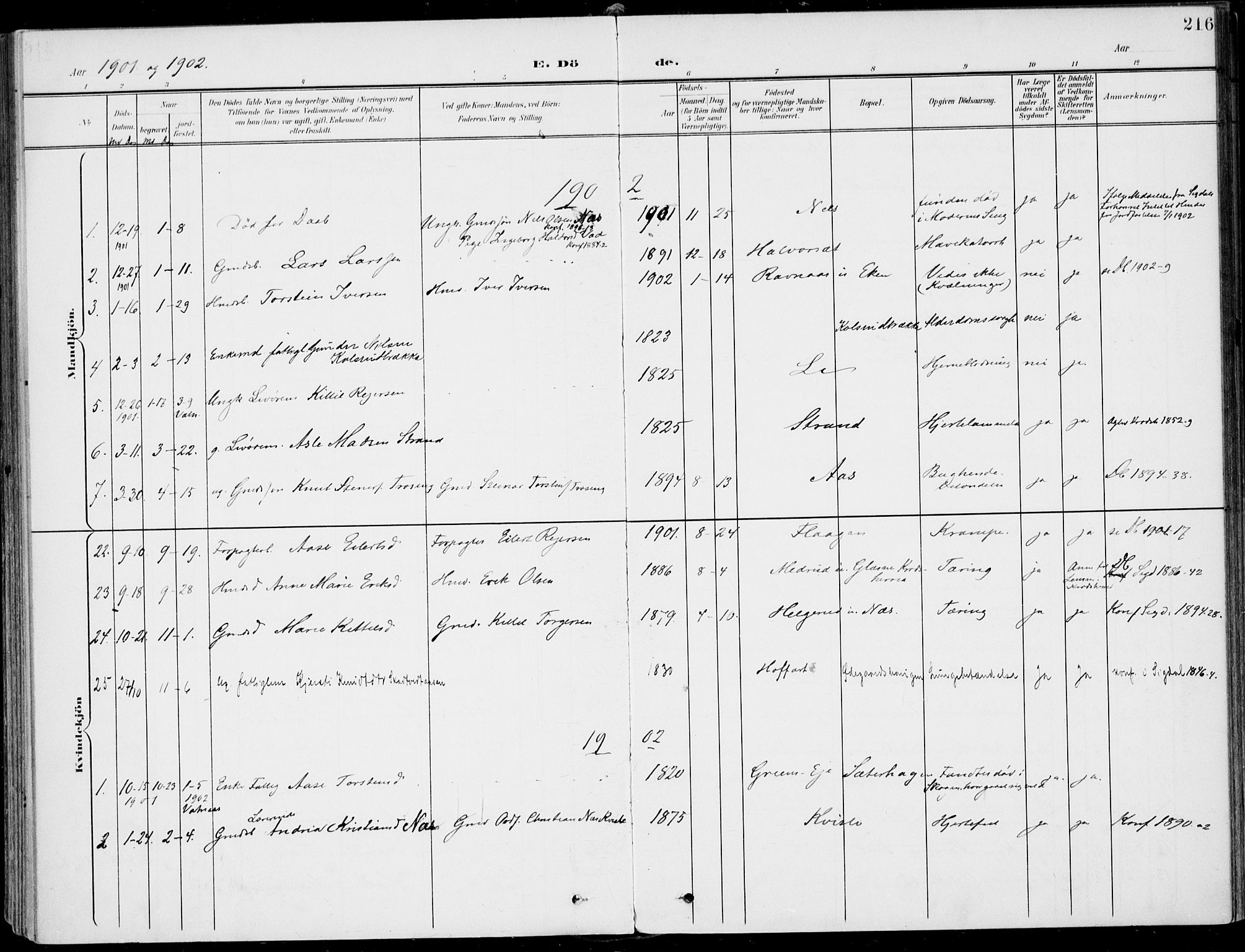 Sigdal kirkebøker, SAKO/A-245/F/Fb/L0002: Parish register (official) no. II 2, 1901-1914, p. 216