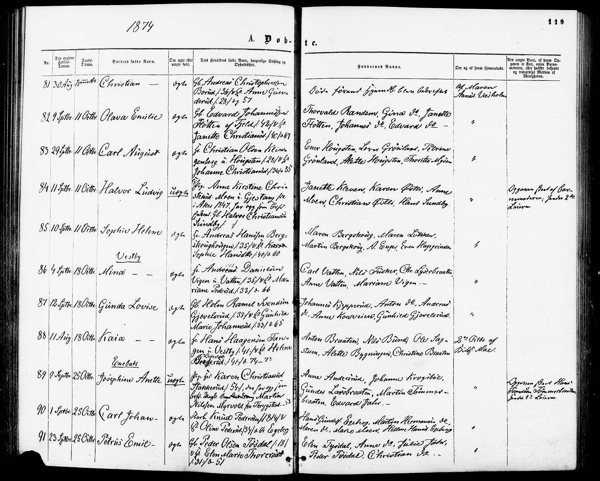 Enebakk prestekontor Kirkebøker, SAO/A-10171c/F/Fa/L0011: Parish register (official) no. I 11, 1862-1882, p. 119