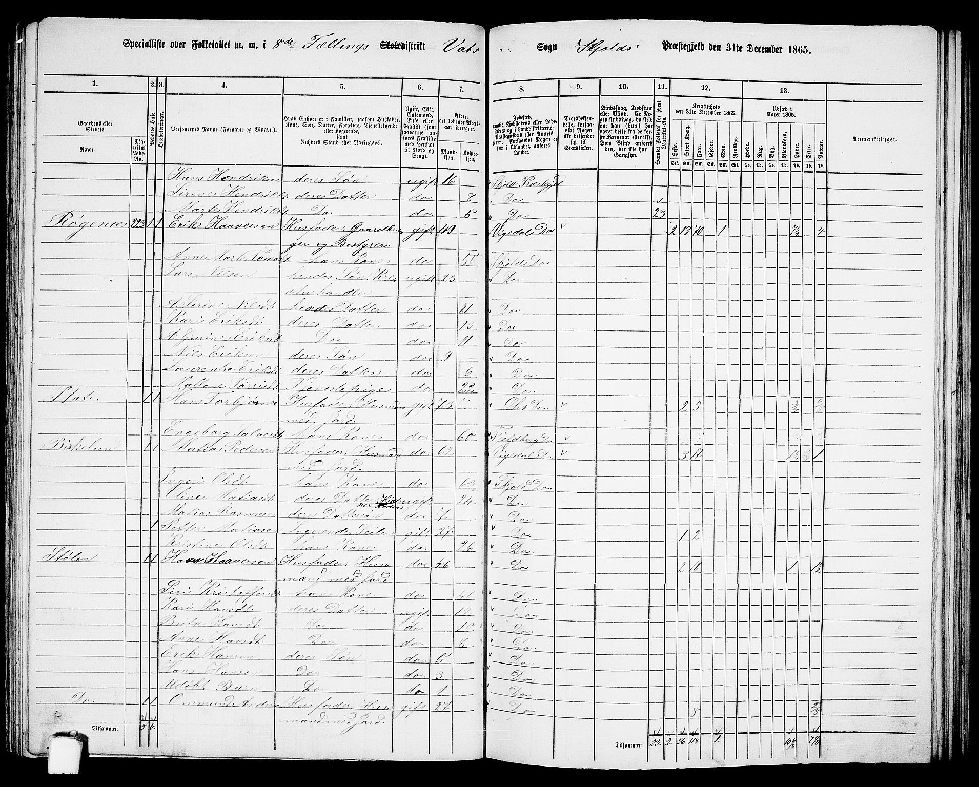 RA, 1865 census for Skjold, 1865, p. 107