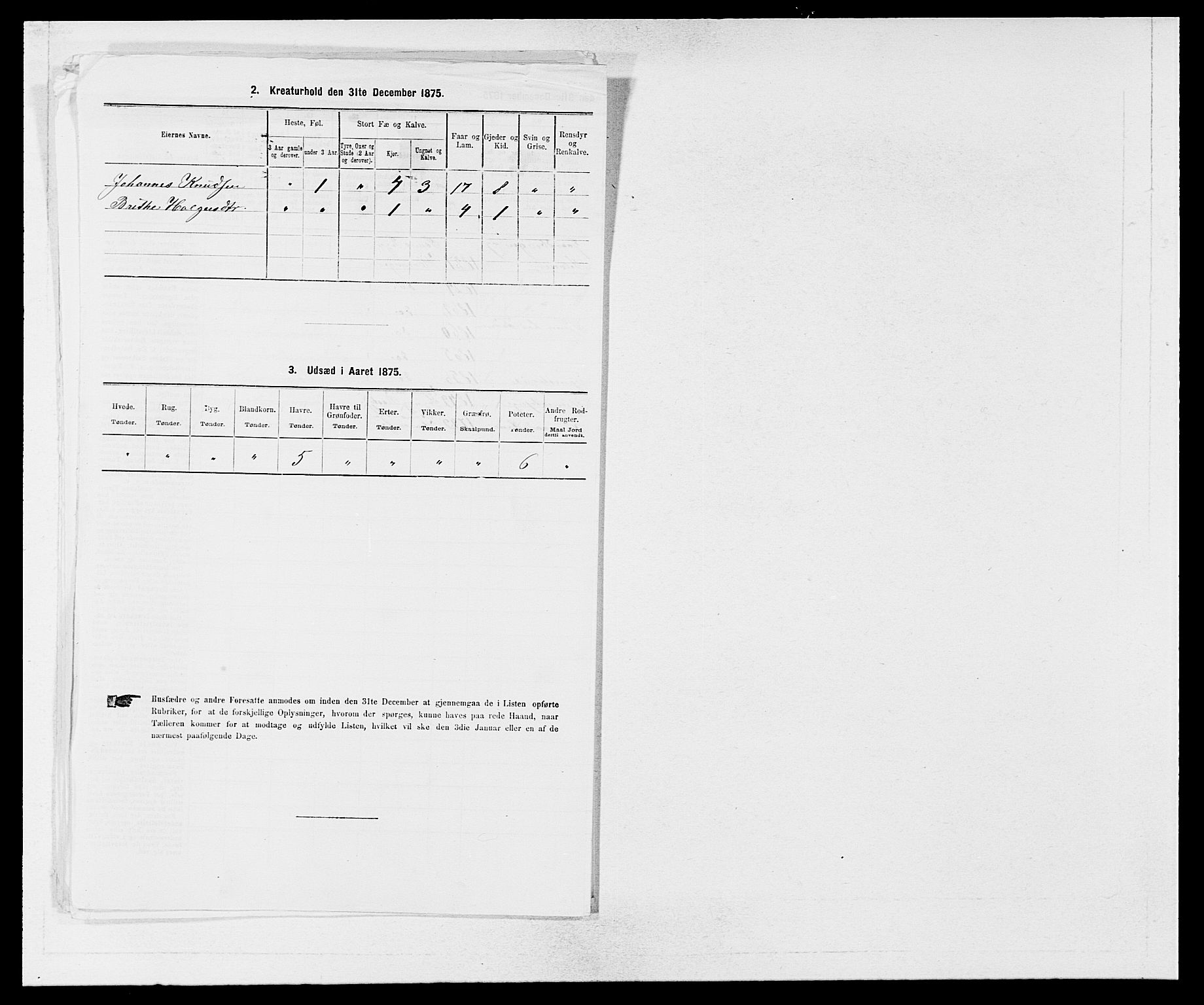 SAB, 1875 census for 1253P Hosanger, 1875, p. 1056