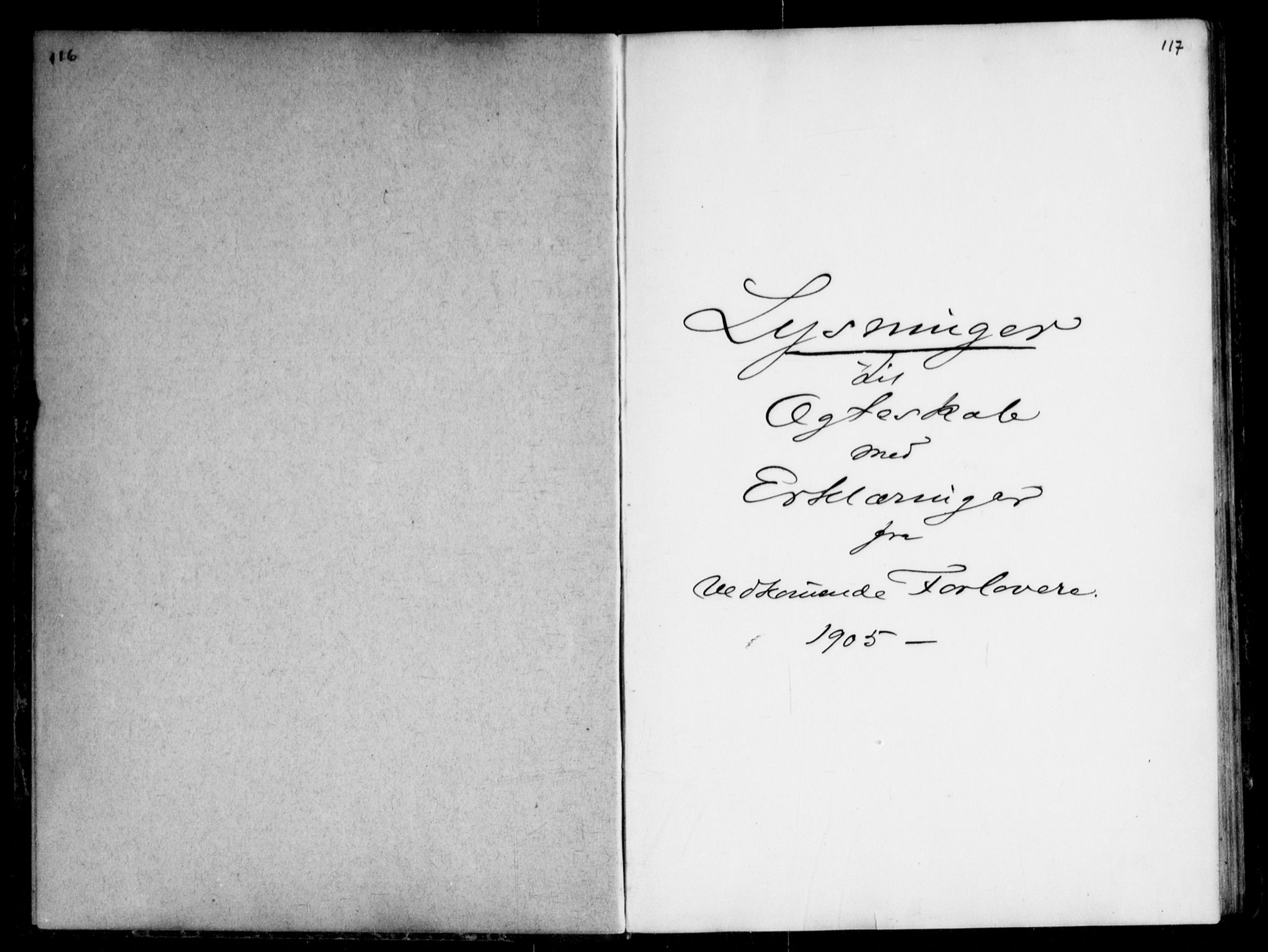 Fet prestekontor Kirkebøker, SAO/A-10370a/H/Ha/L0001: Banns register no. 1, 1906-1919, p. 116-117
