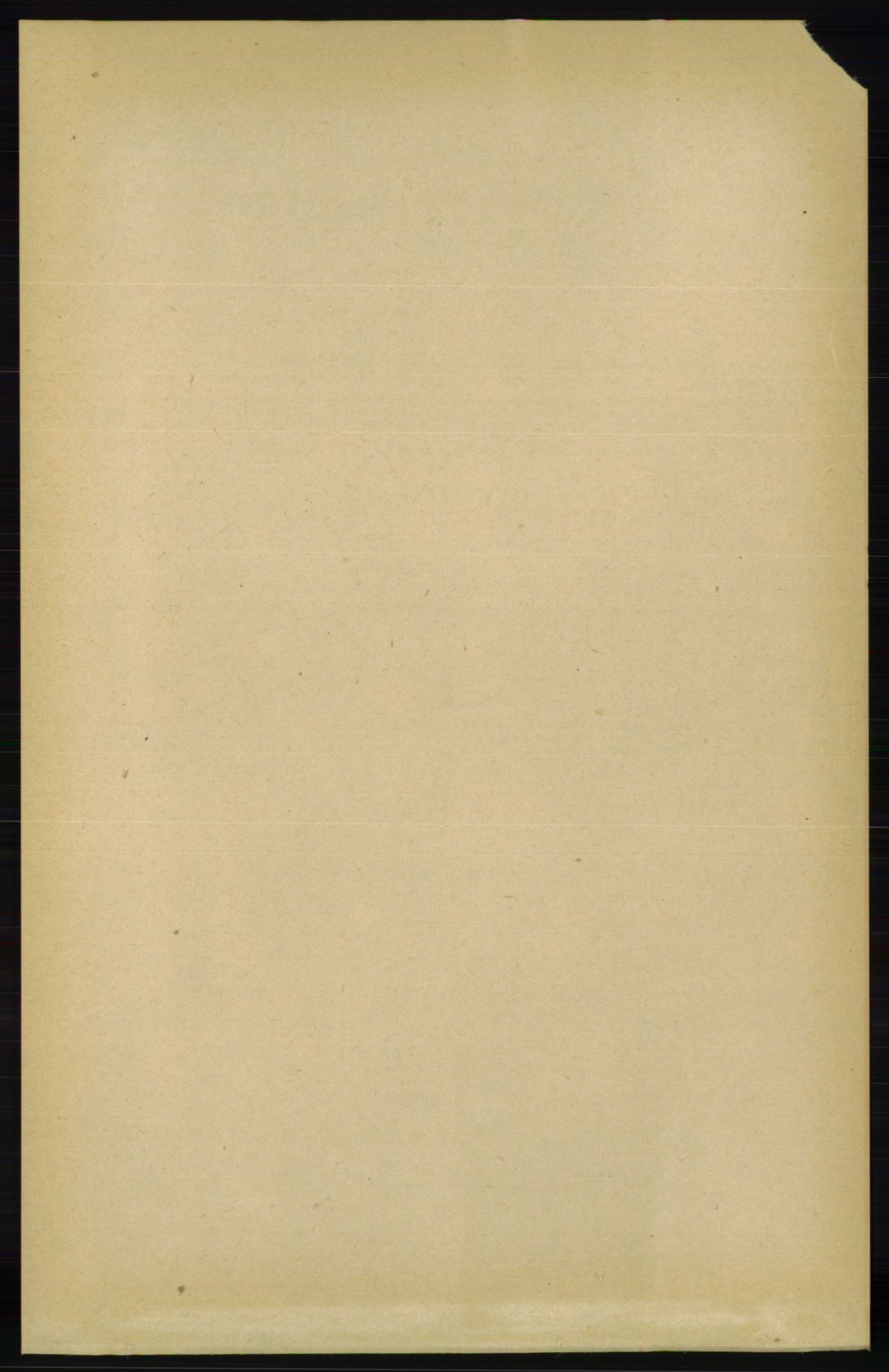 RA, 1891 Census for 0928 Birkenes, 1891, p. 498