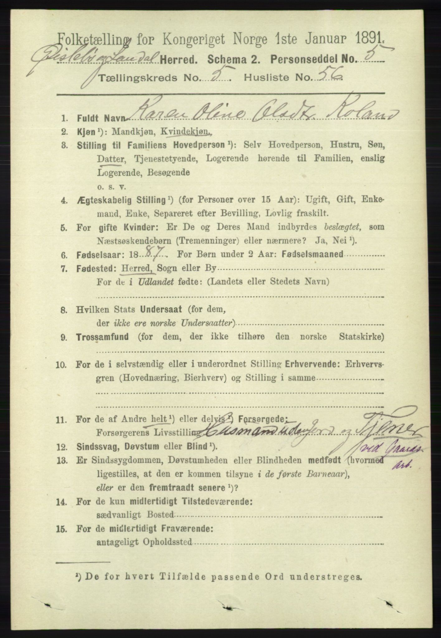 RA, 1891 census for 1021 Øyslebø og Laudal, 1891, p. 1635