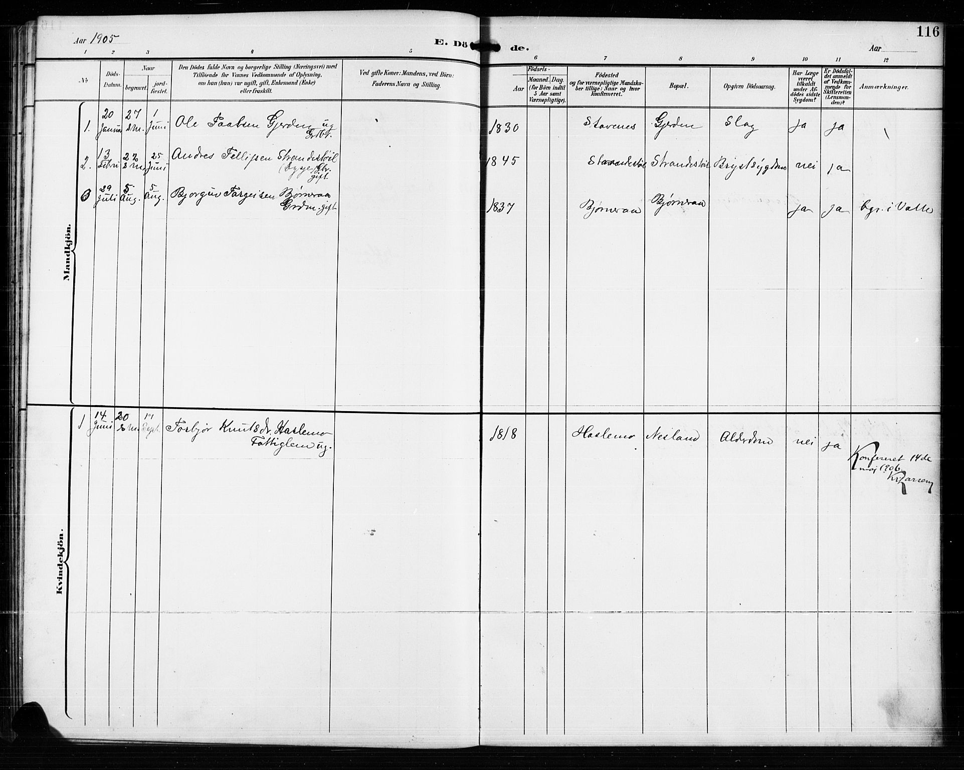 Valle sokneprestkontor, AV/SAK-1111-0044/F/Fb/Fba/L0003: Parish register (copy) no. B 3, 1895-1916, p. 116