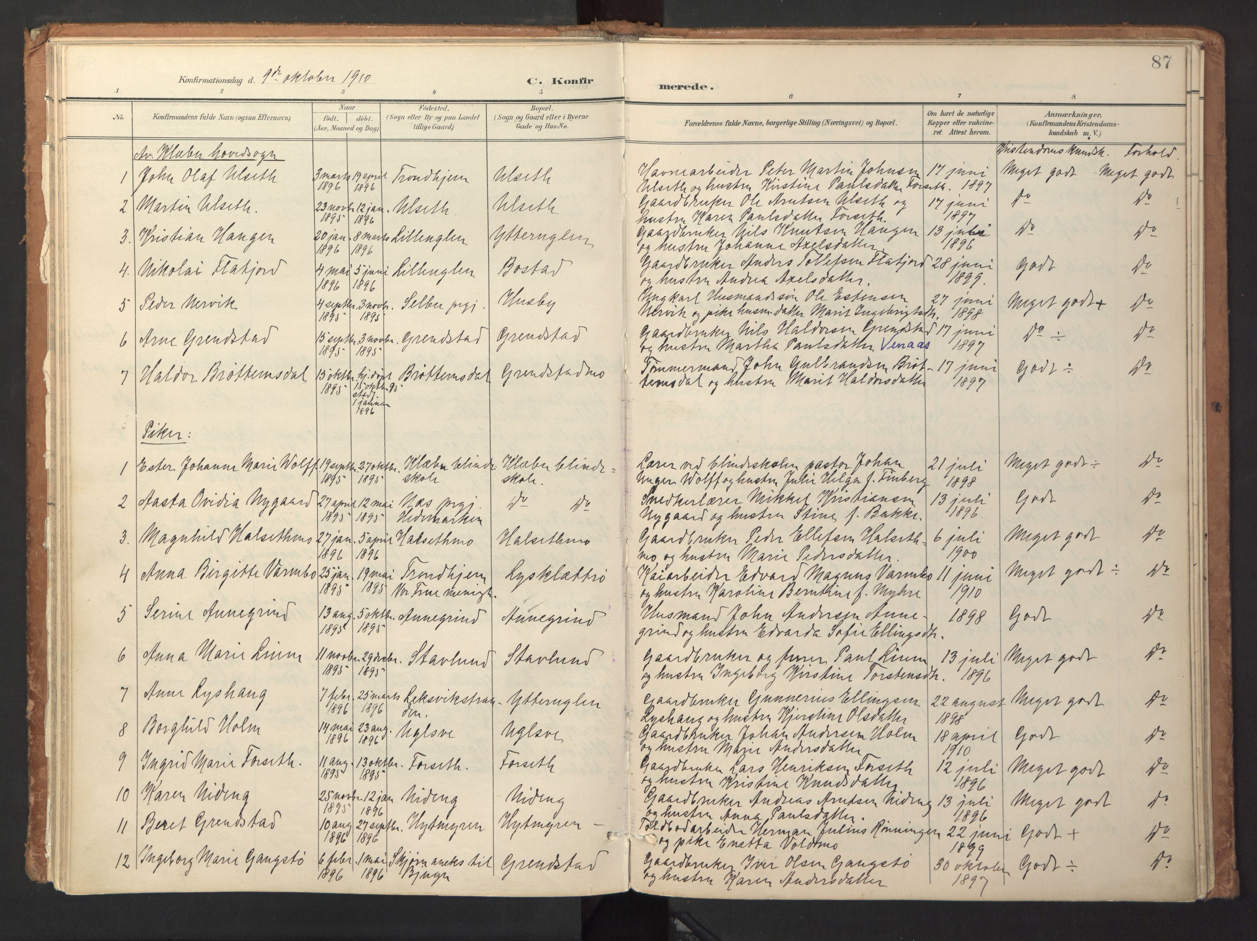 Ministerialprotokoller, klokkerbøker og fødselsregistre - Sør-Trøndelag, SAT/A-1456/618/L0448: Parish register (official) no. 618A11, 1898-1916, p. 87