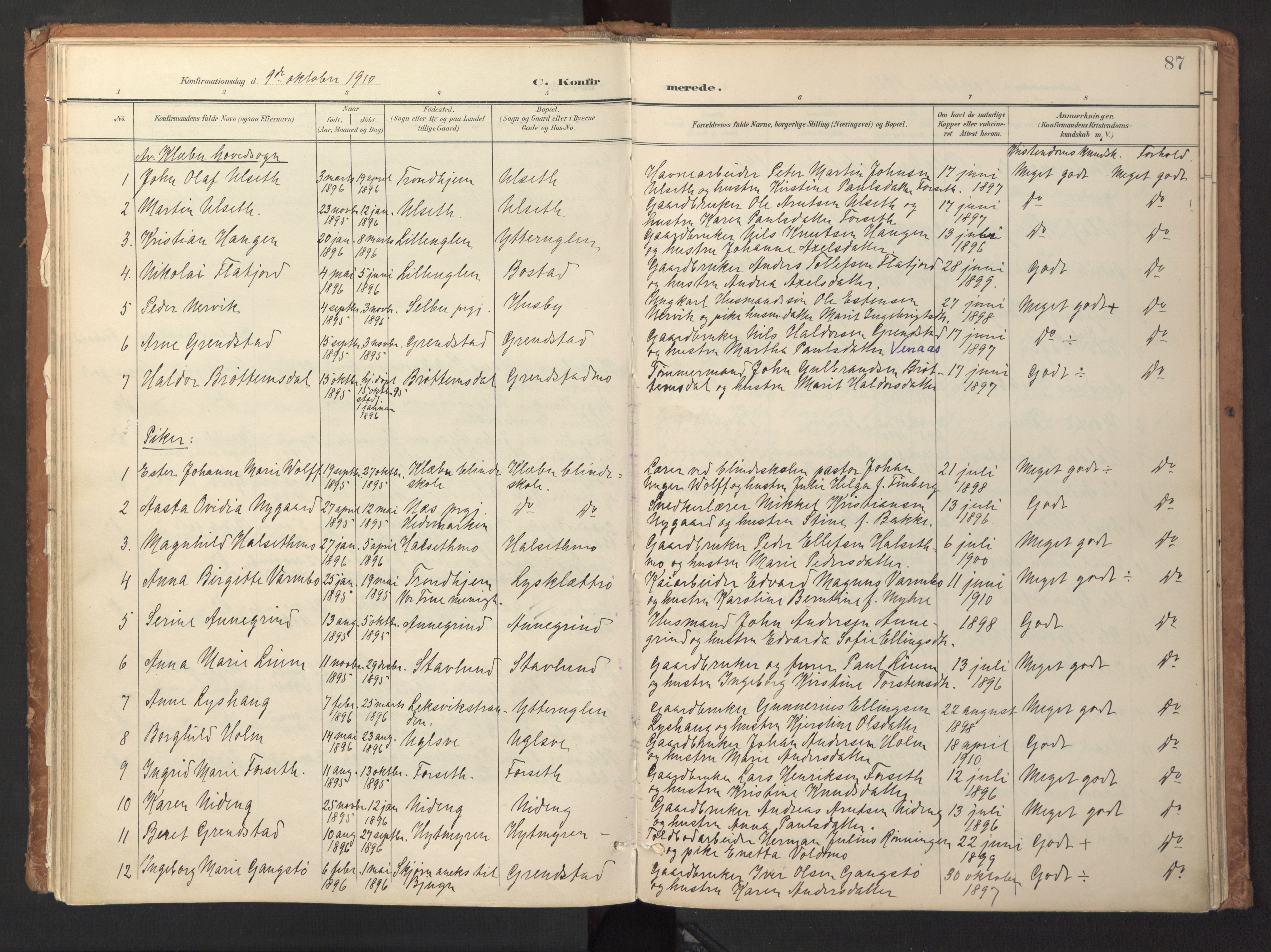 Ministerialprotokoller, klokkerbøker og fødselsregistre - Sør-Trøndelag, AV/SAT-A-1456/618/L0448: Parish register (official) no. 618A11, 1898-1916, p. 87