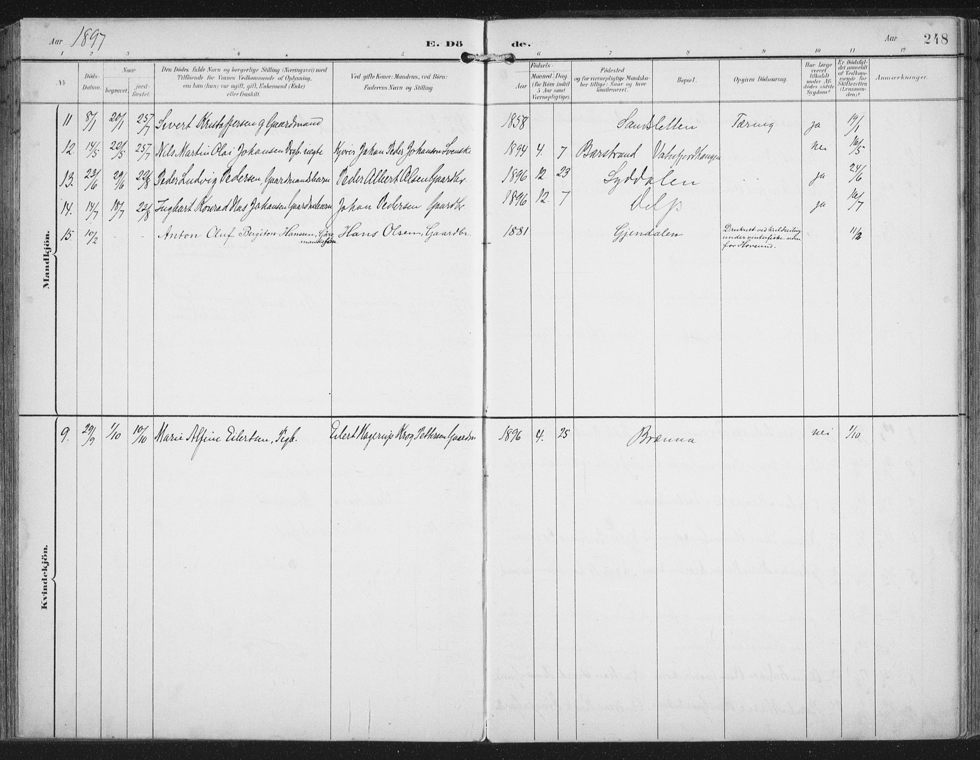 Ministerialprotokoller, klokkerbøker og fødselsregistre - Nordland, SAT/A-1459/876/L1098: Parish register (official) no. 876A04, 1896-1915, p. 248