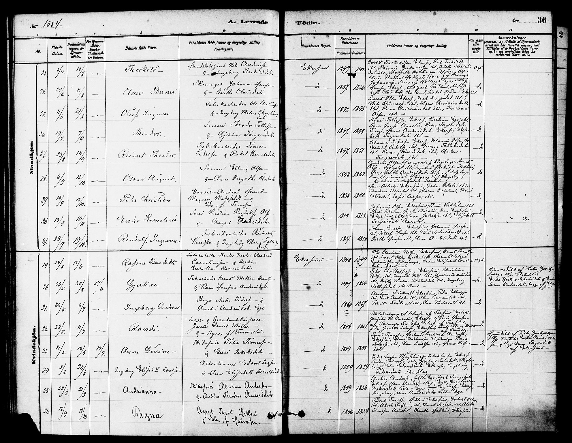 Eigersund sokneprestkontor, AV/SAST-A-101807/S08/L0015: Parish register (official) no. A 15, 1879-1892, p. 36