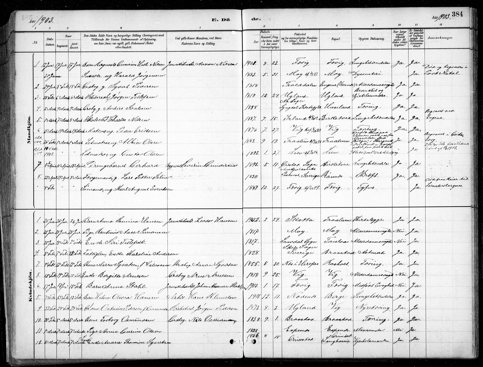 Fjære sokneprestkontor, SAK/1111-0011/F/Fb/L0011: Parish register (copy) no. B 11, 1881-1905, p. 384