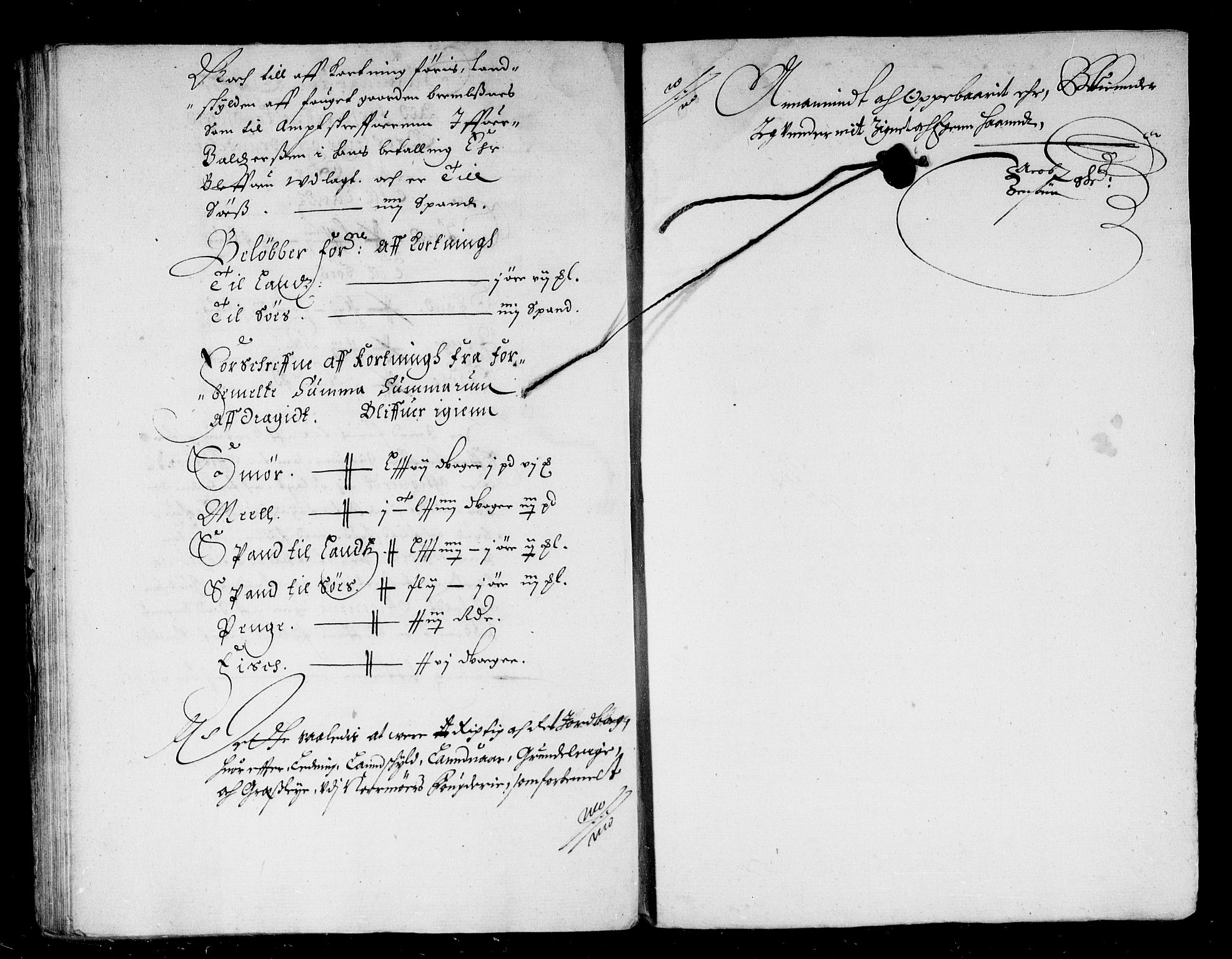 Rentekammeret inntil 1814, Reviderte regnskaper, Stiftamtstueregnskaper, Trondheim stiftamt og Nordland amt, AV/RA-EA-6044/R/Rd/L0020: Trondheim stiftamt, 1667