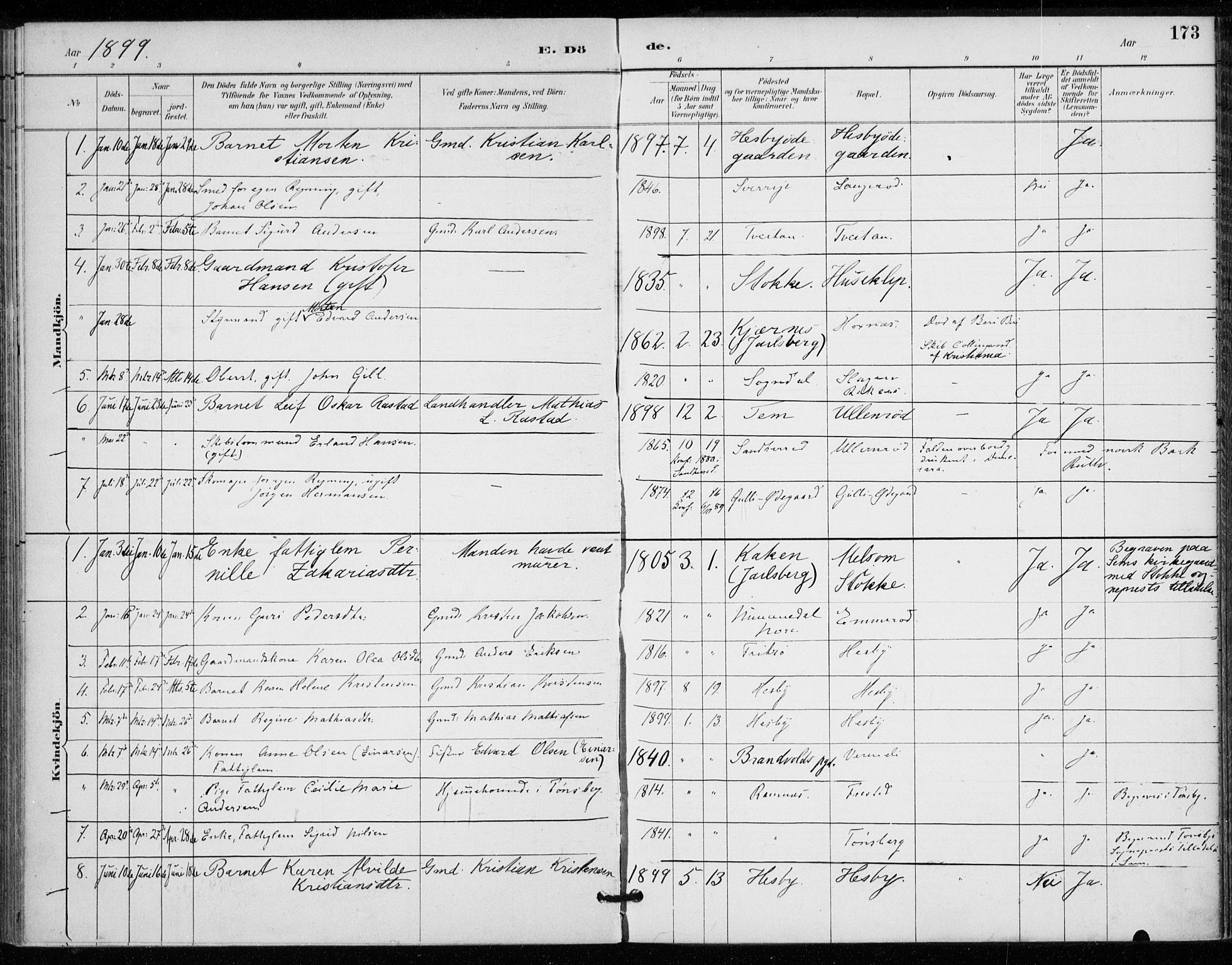 Sem kirkebøker, AV/SAKO-A-5/F/Fa/L0011: Parish register (official) no. I 11, 1888-1904, p. 173