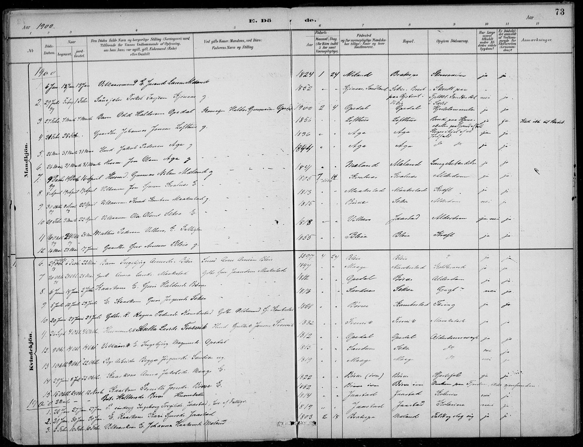 Ullensvang sokneprestembete, AV/SAB-A-78701/H/Haa: Parish register (official) no. B  3, 1882-1911, p. 73