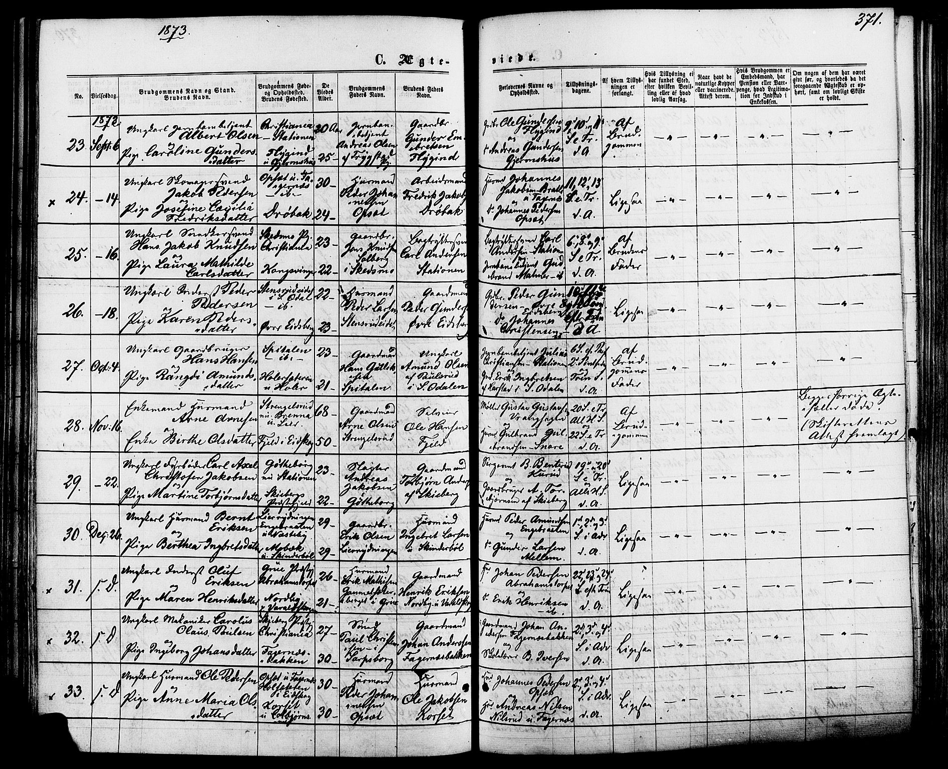 Vinger prestekontor, AV/SAH-PREST-024/H/Ha/Haa/L0012: Parish register (official) no. 12, 1871-1880, p. 371