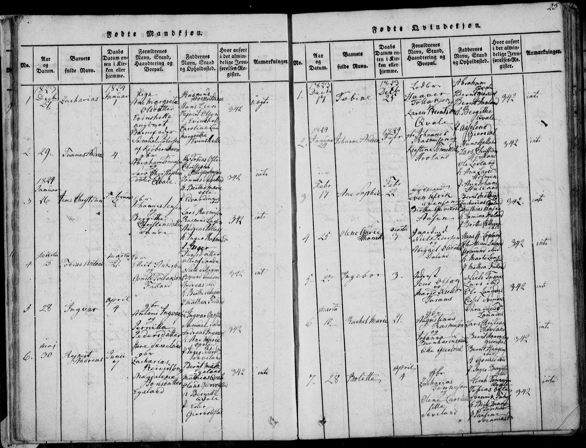 Herad sokneprestkontor, AV/SAK-1111-0018/F/Fa/Faa/L0003: Parish register (official) no. A 3, 1816-1844, p. 25