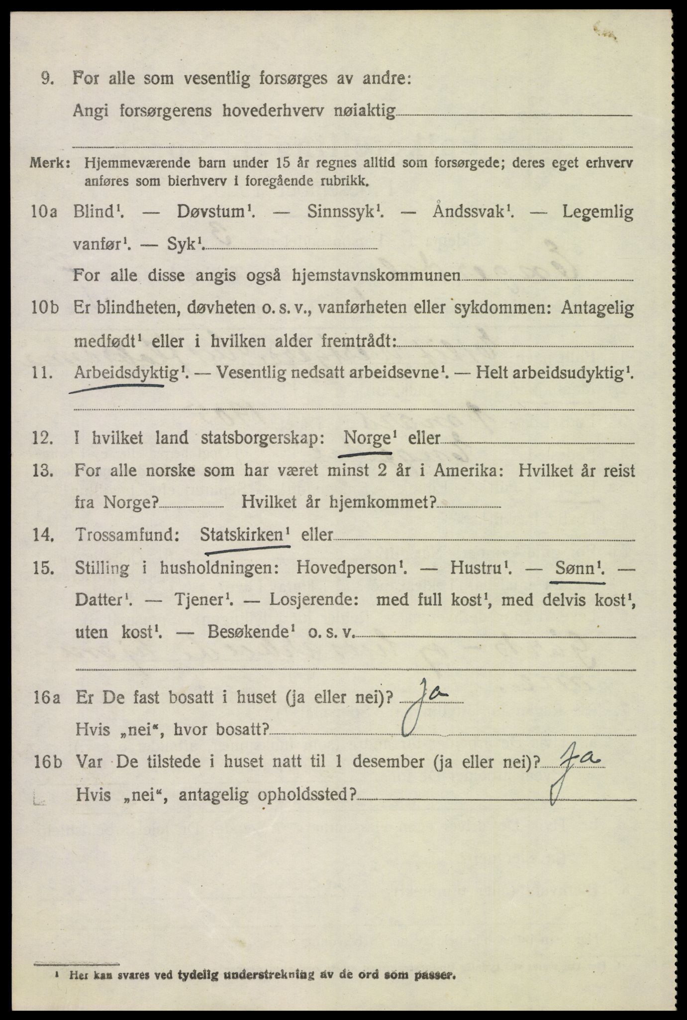 SAH, 1920 census for Engerdal, 1920, p. 2942