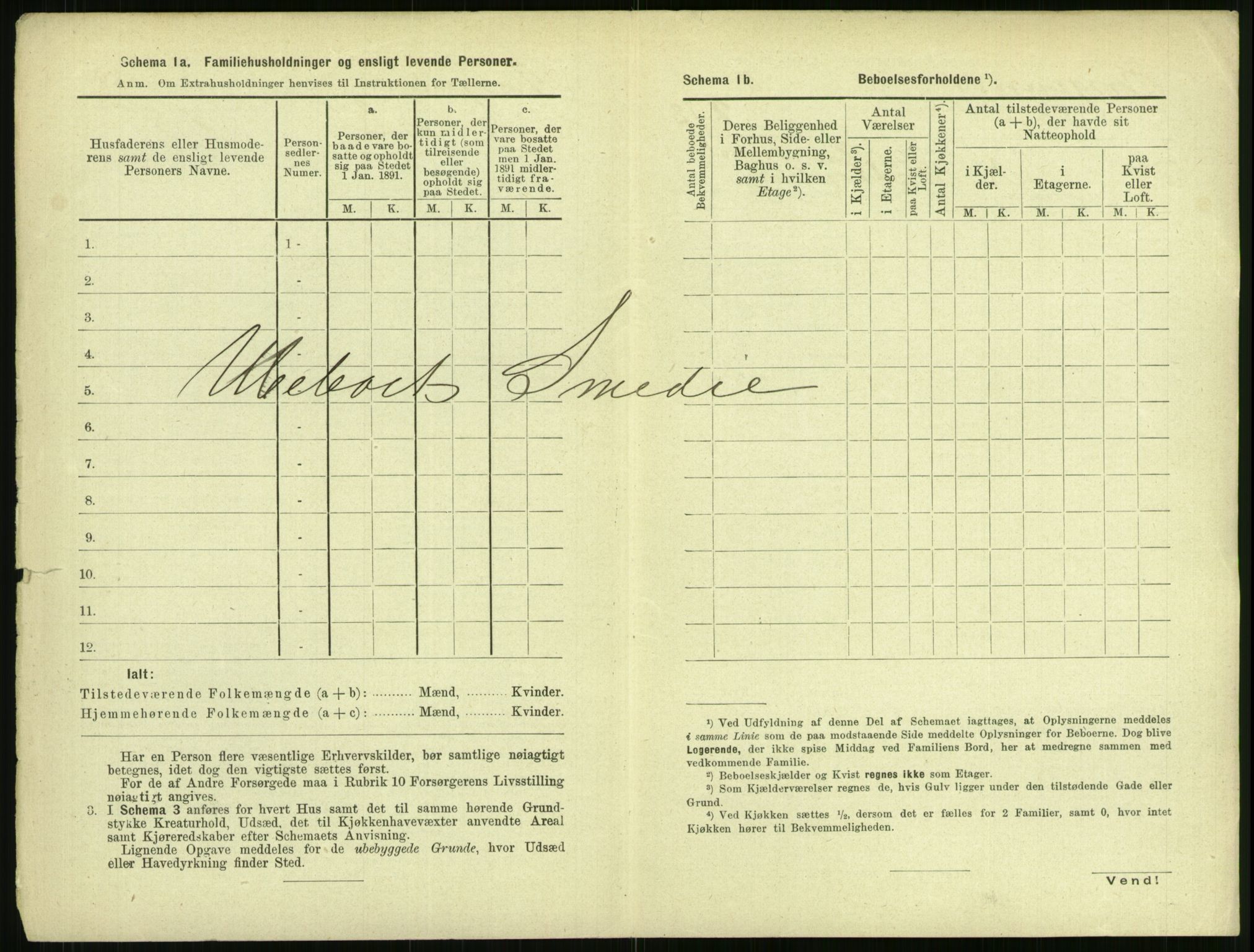 RA, 1891 census for 0805 Porsgrunn, 1891, p. 480