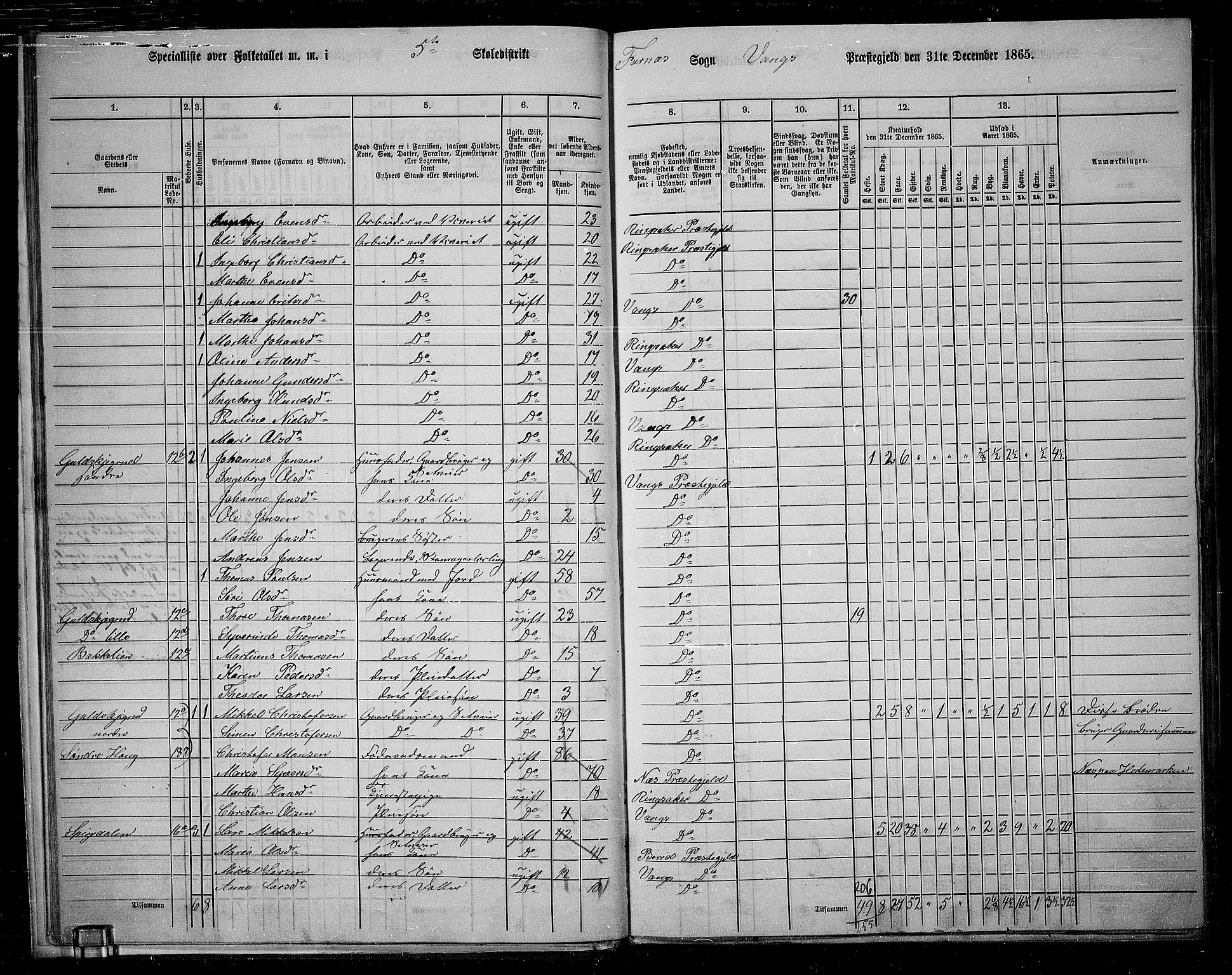 RA, 1865 census for Vang/Vang og Furnes, 1865, p. 22