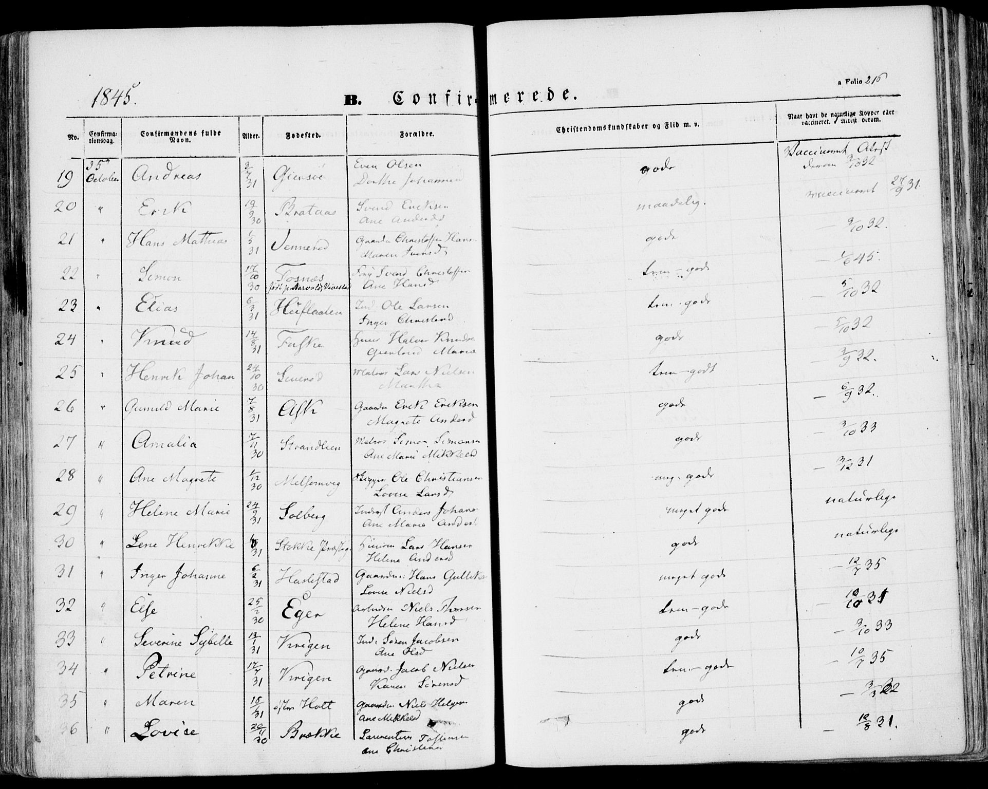 Stokke kirkebøker, AV/SAKO-A-320/F/Fa/L0007: Parish register (official) no. I 7, 1844-1857, p. 216