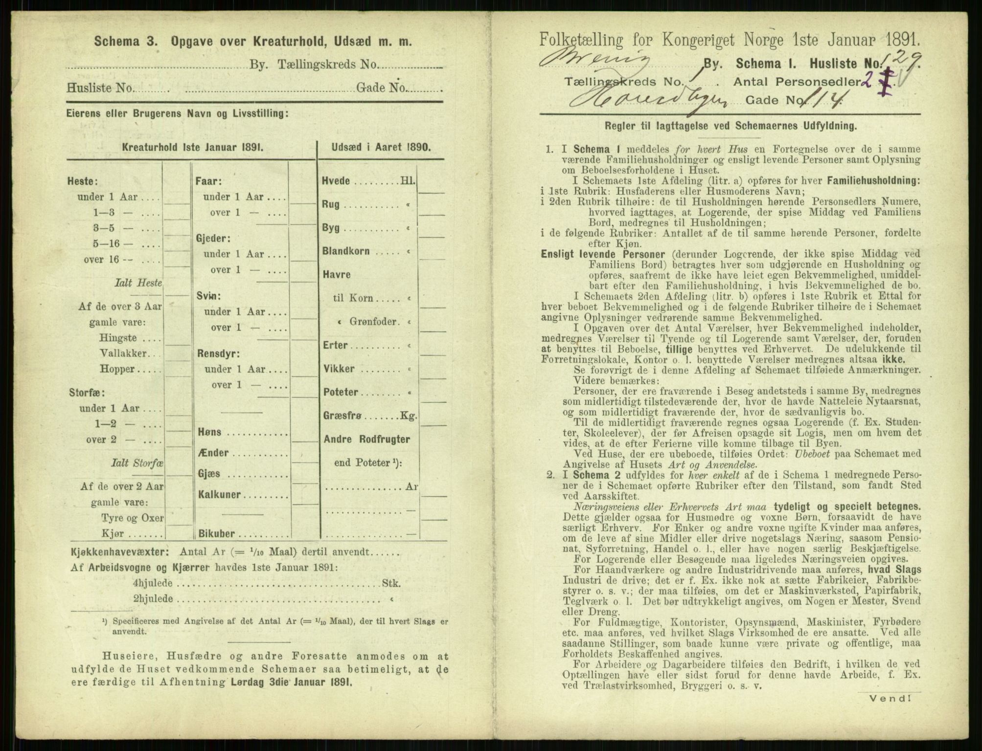 RA, 1891 census for 0804 Brevik, 1891, p. 273