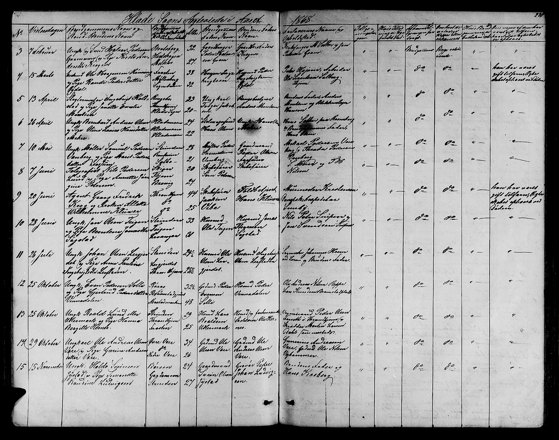 Ministerialprotokoller, klokkerbøker og fødselsregistre - Sør-Trøndelag, SAT/A-1456/606/L0311: Parish register (copy) no. 606C07, 1860-1877, p. 230