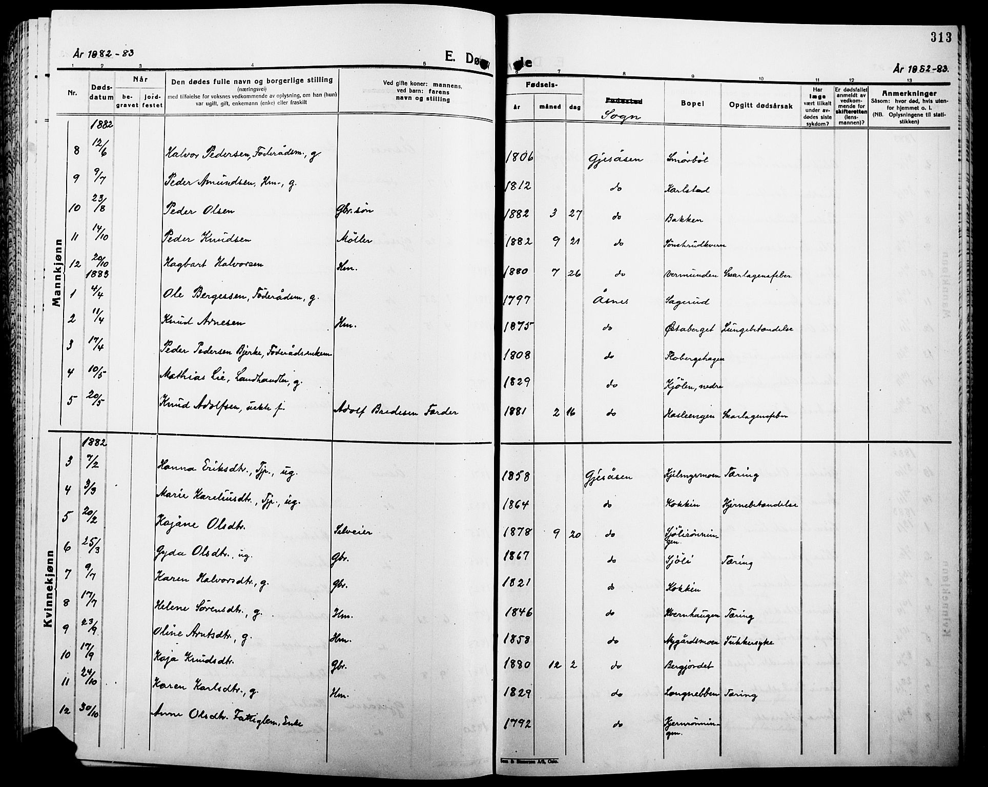 Åsnes prestekontor, AV/SAH-PREST-042/H/Ha/Haa/L0000B: Parish register (official), 1870-1889, p. 313