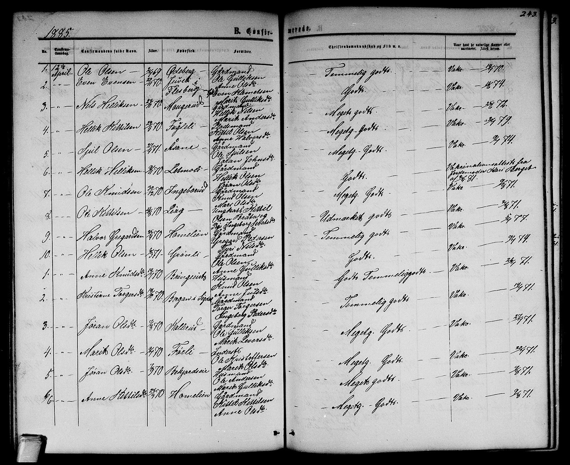 Flesberg kirkebøker, SAKO/A-18/G/Ga/L0003: Parish register (copy) no. I 3, 1861-1889, p. 243