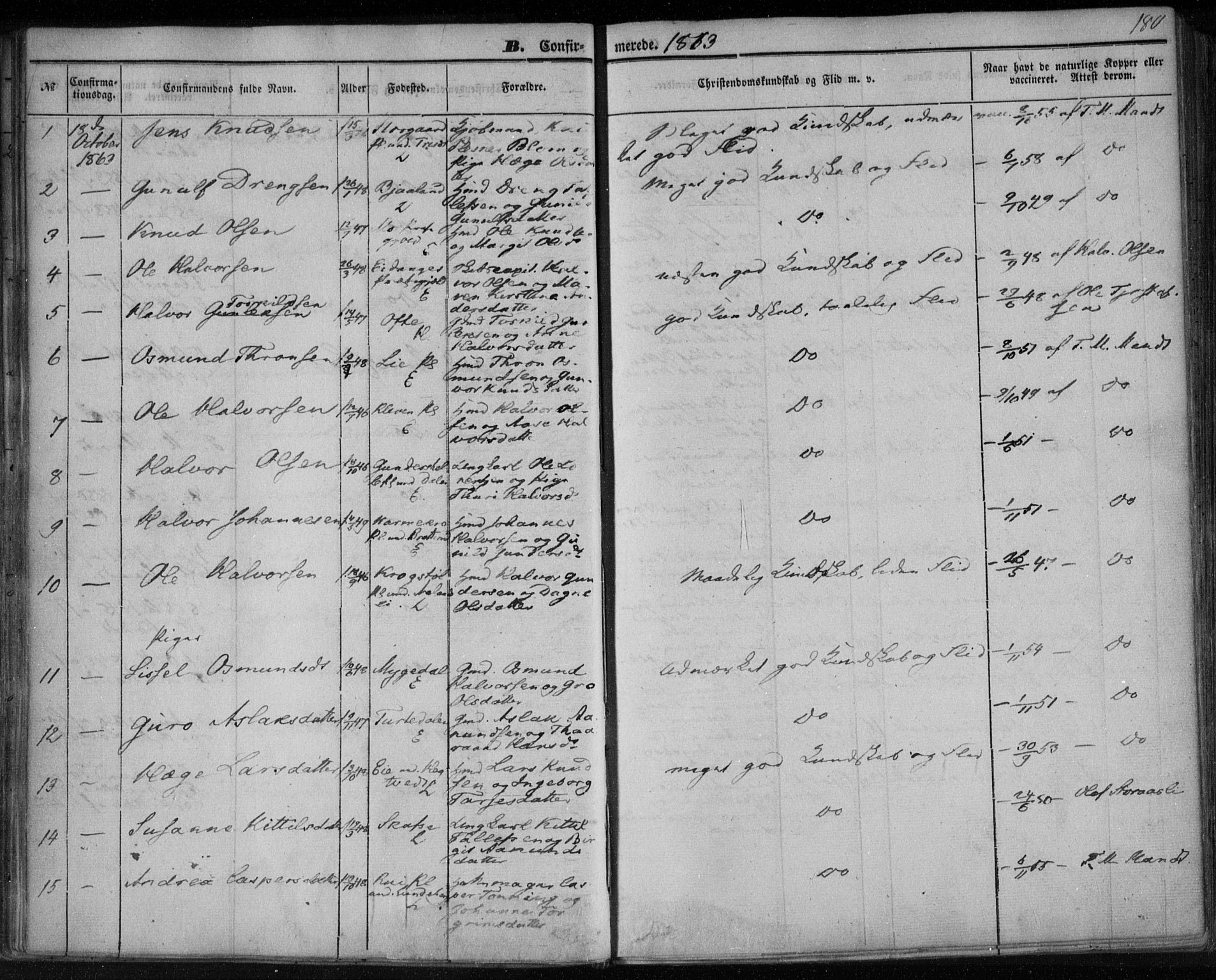 Lårdal kirkebøker, SAKO/A-284/F/Fa/L0006: Parish register (official) no. I 6, 1861-1886, p. 180