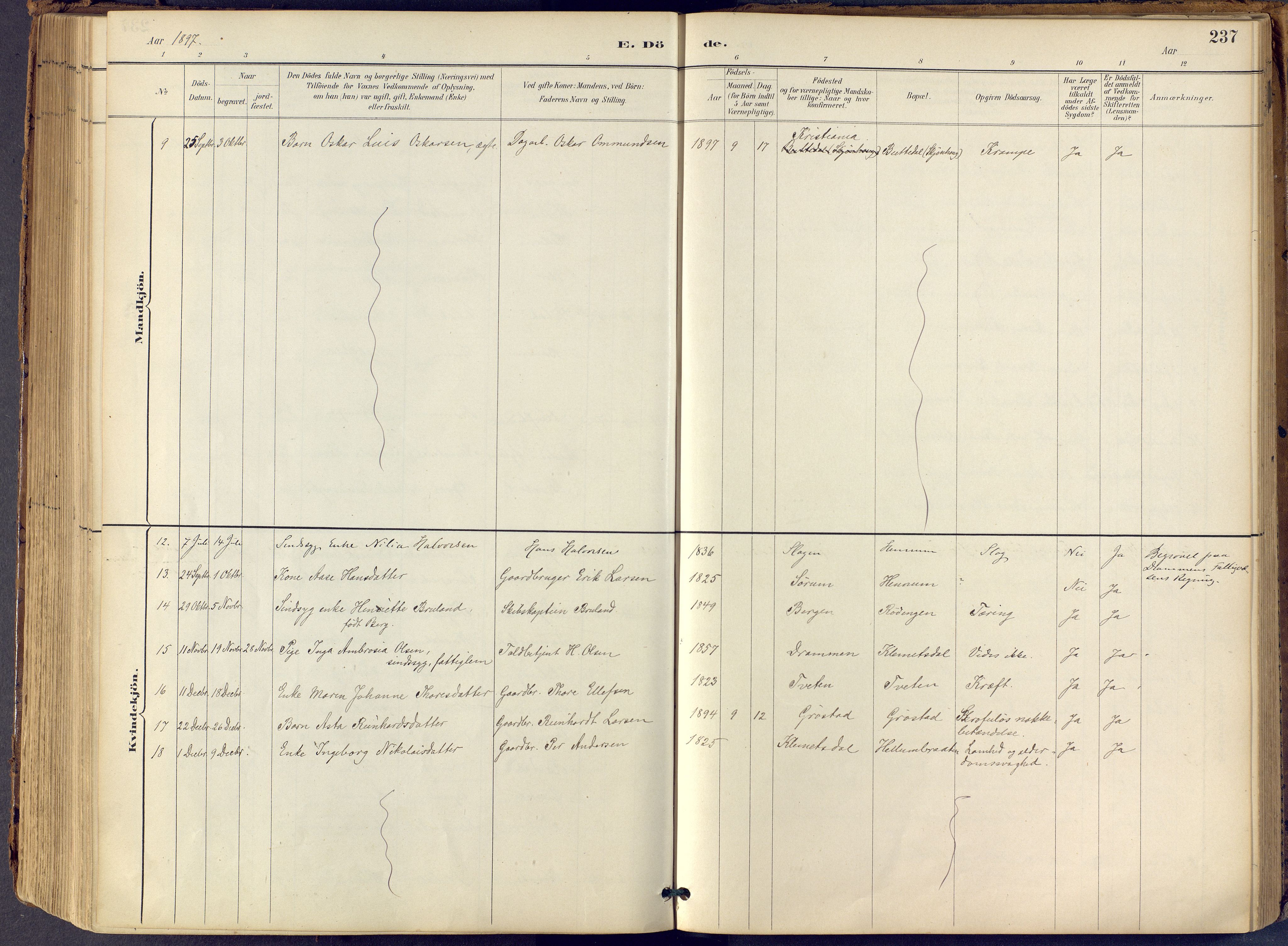 Lier kirkebøker, AV/SAKO-A-230/F/Fb/L0001: Parish register (official) no. II 1, 1883-1910, p. 237