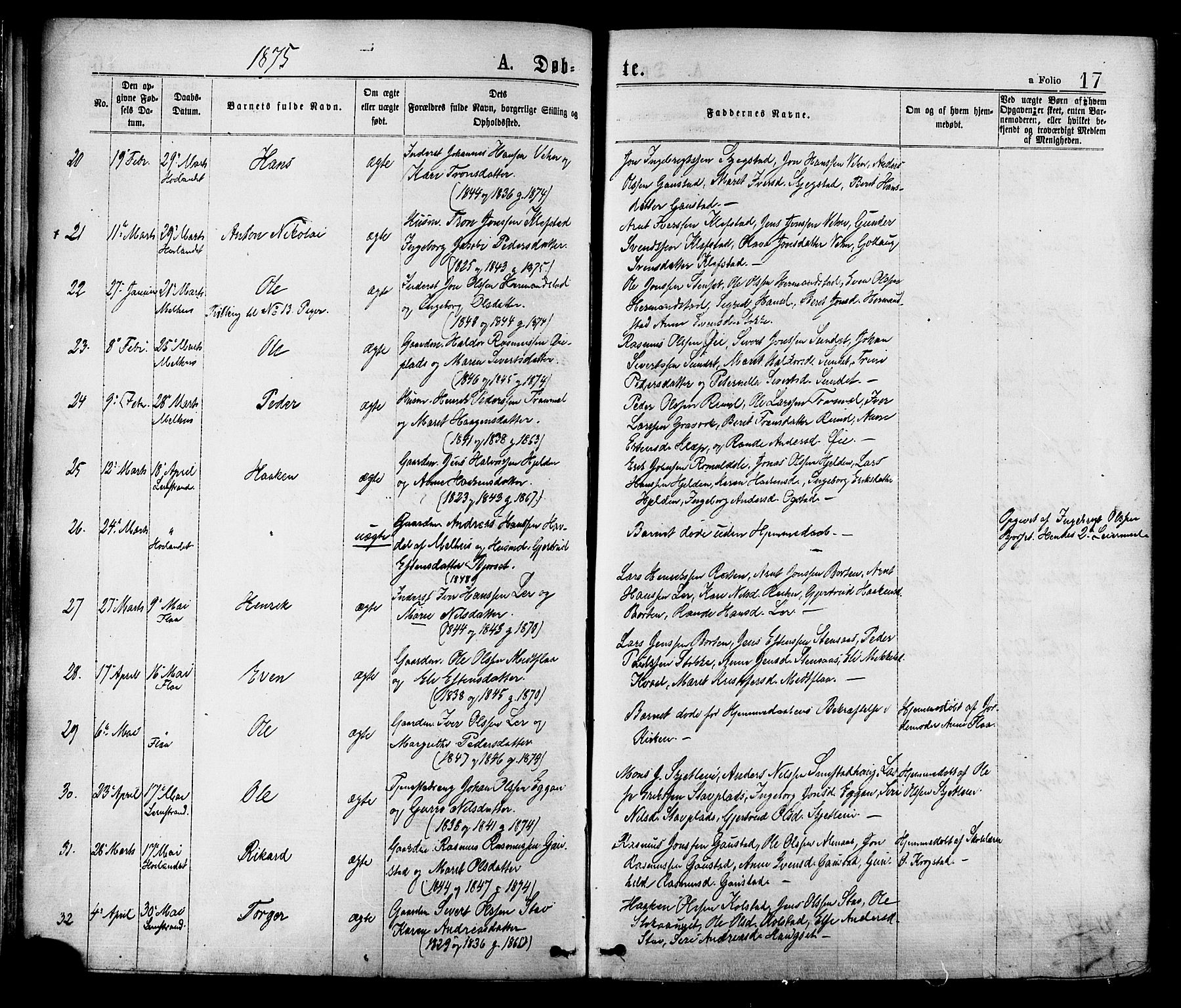 Ministerialprotokoller, klokkerbøker og fødselsregistre - Sør-Trøndelag, SAT/A-1456/691/L1079: Parish register (official) no. 691A11, 1873-1886, p. 17