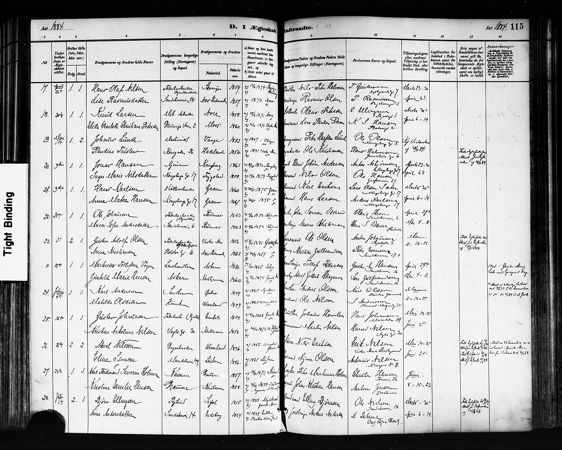 Sagene prestekontor Kirkebøker, AV/SAO-A-10796/F/L0002: Parish register (official) no. 2, 1880-1897, p. 115