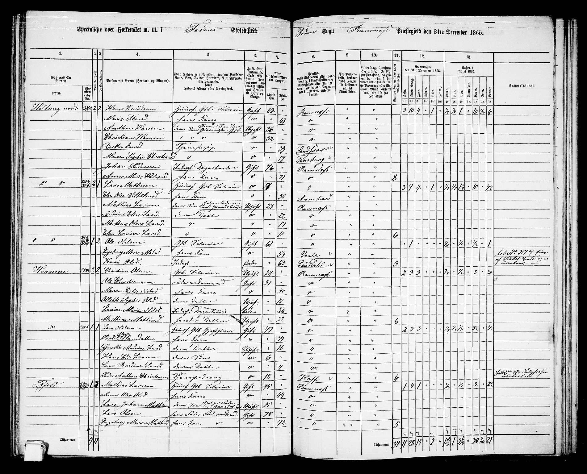 RA, 1865 census for Ramnes, 1865, p. 94