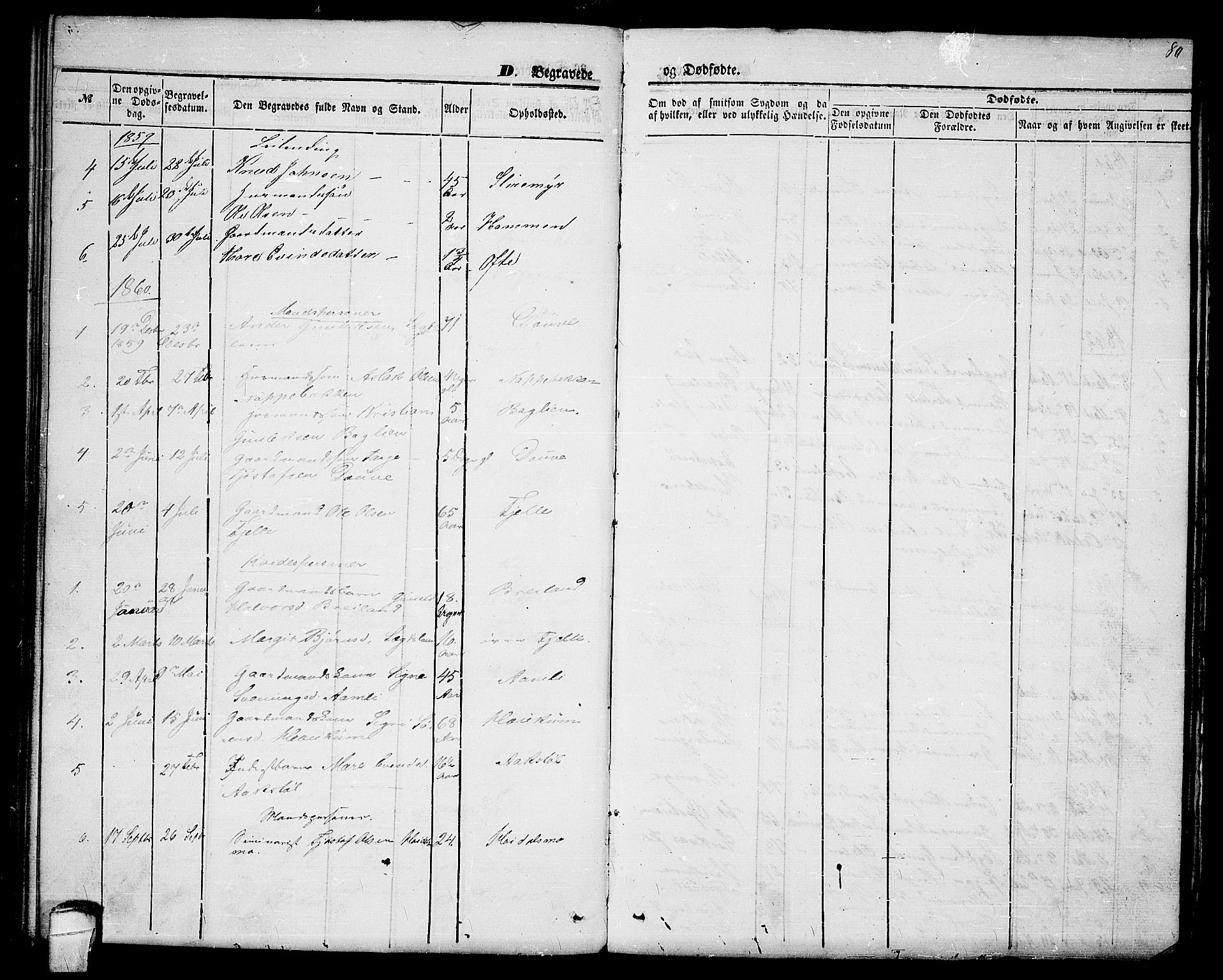 Lårdal kirkebøker, SAKO/A-284/G/Gc/L0002: Parish register (copy) no. III 2, 1852-1877, p. 80