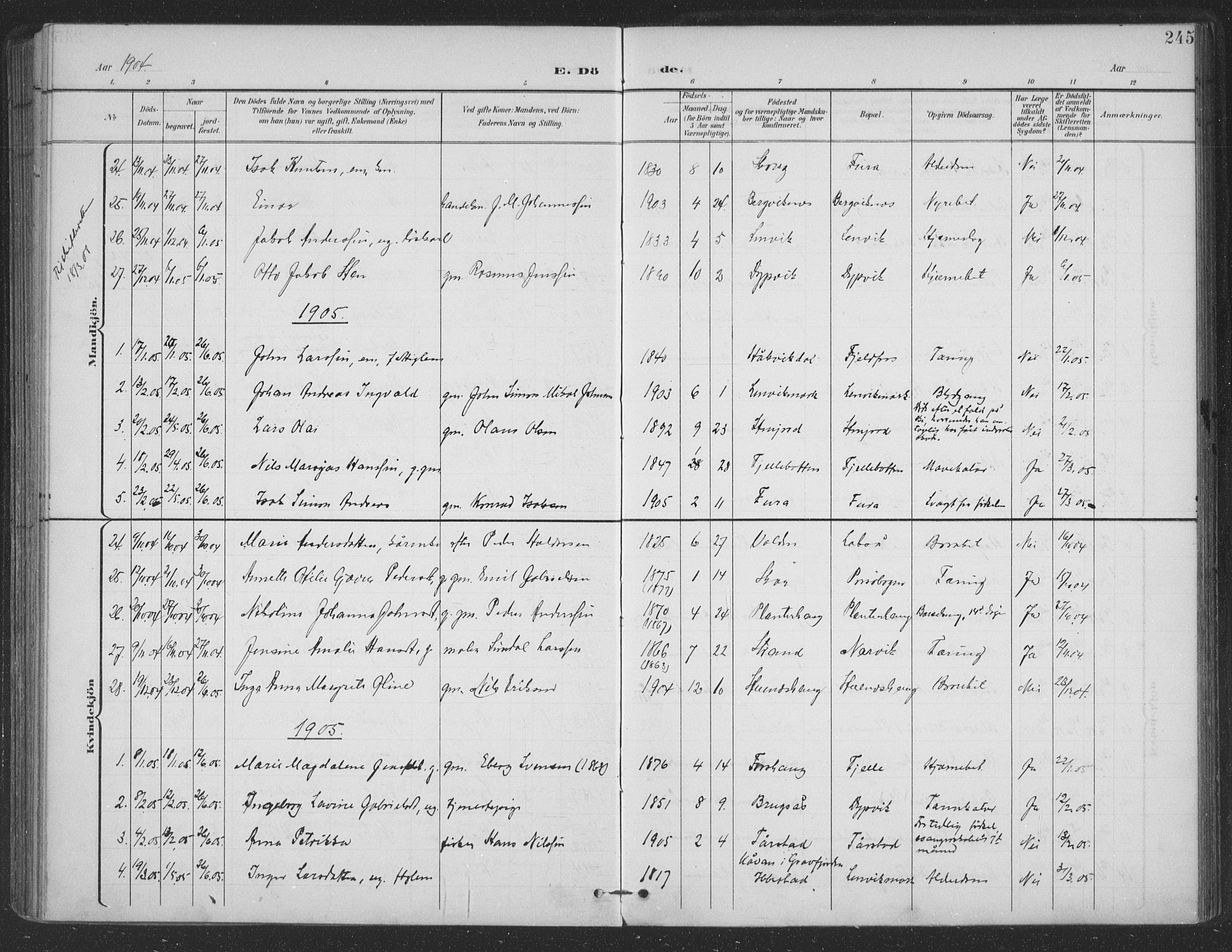 Ministerialprotokoller, klokkerbøker og fødselsregistre - Nordland, SAT/A-1459/863/L0899: Parish register (official) no. 863A11, 1897-1906, p. 245