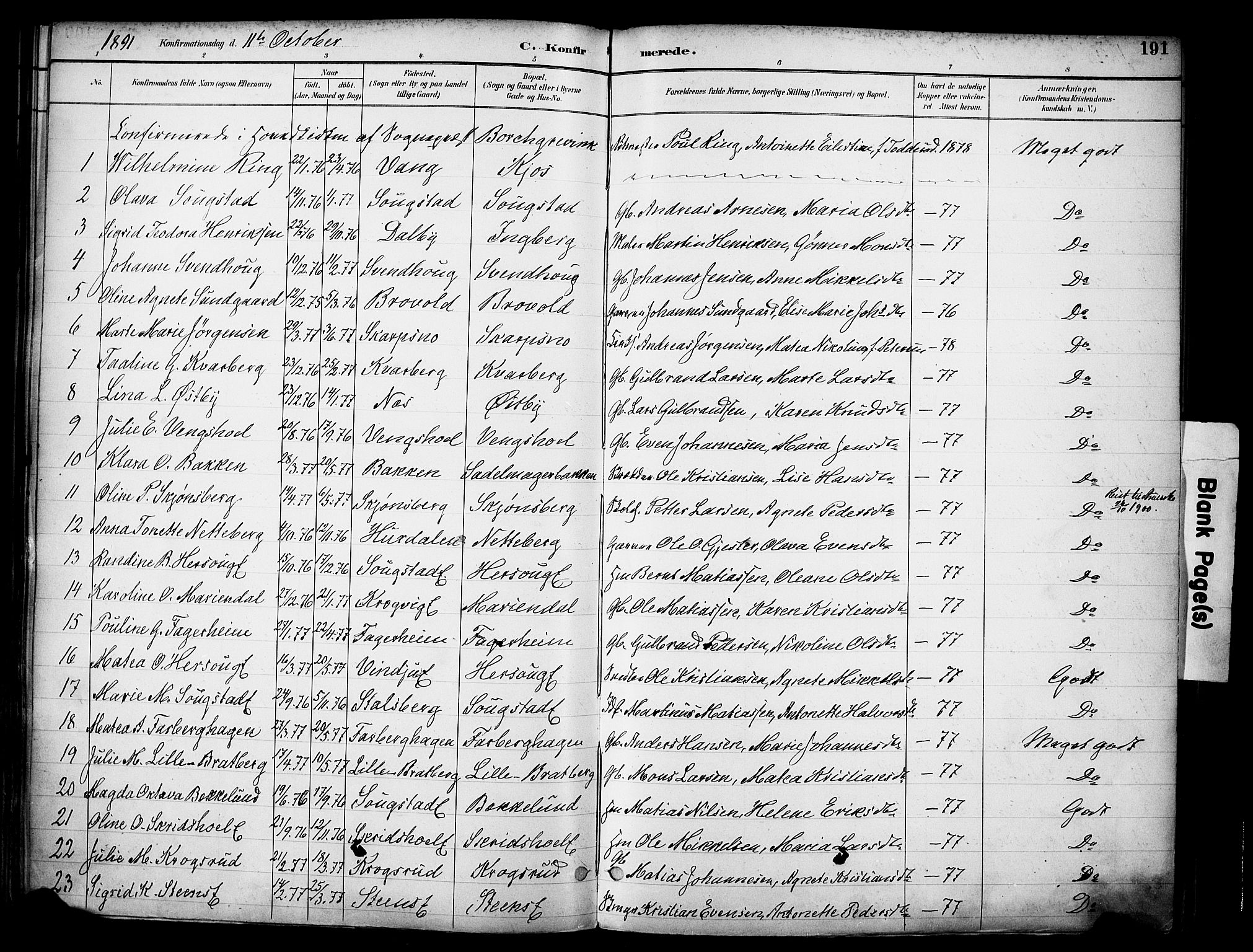 Ringsaker prestekontor, SAH/PREST-014/K/Ka/L0017: Parish register (official) no. 17, 1891-1902, p. 191