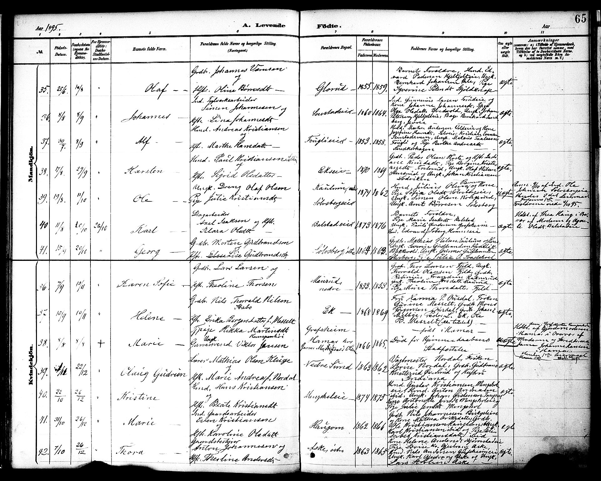 Nes prestekontor, Hedmark, AV/SAH-PREST-020/K/Ka/L0009: Parish register (official) no. 9, 1887-1905, p. 65