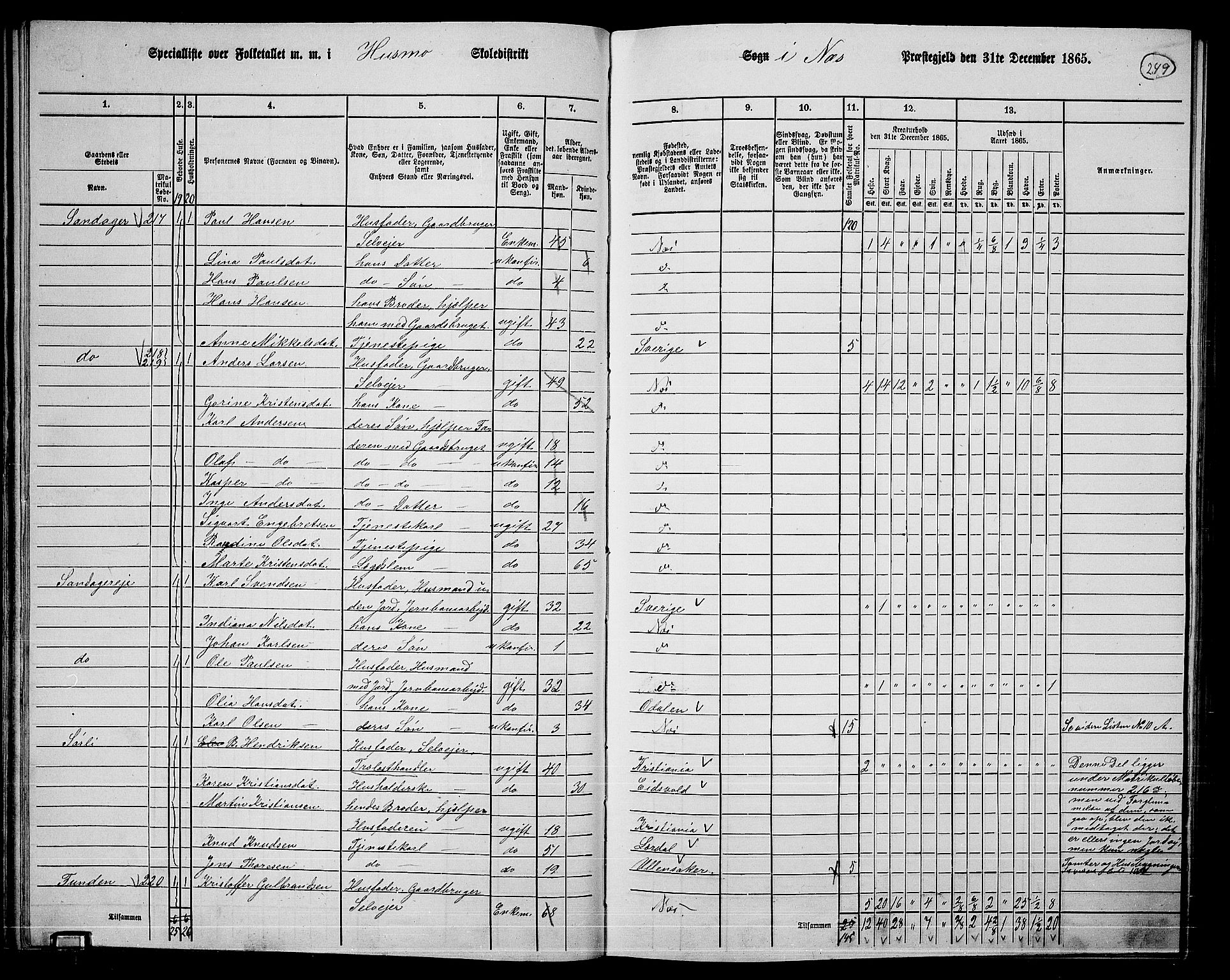 RA, 1865 census for Nes, 1865, p. 232