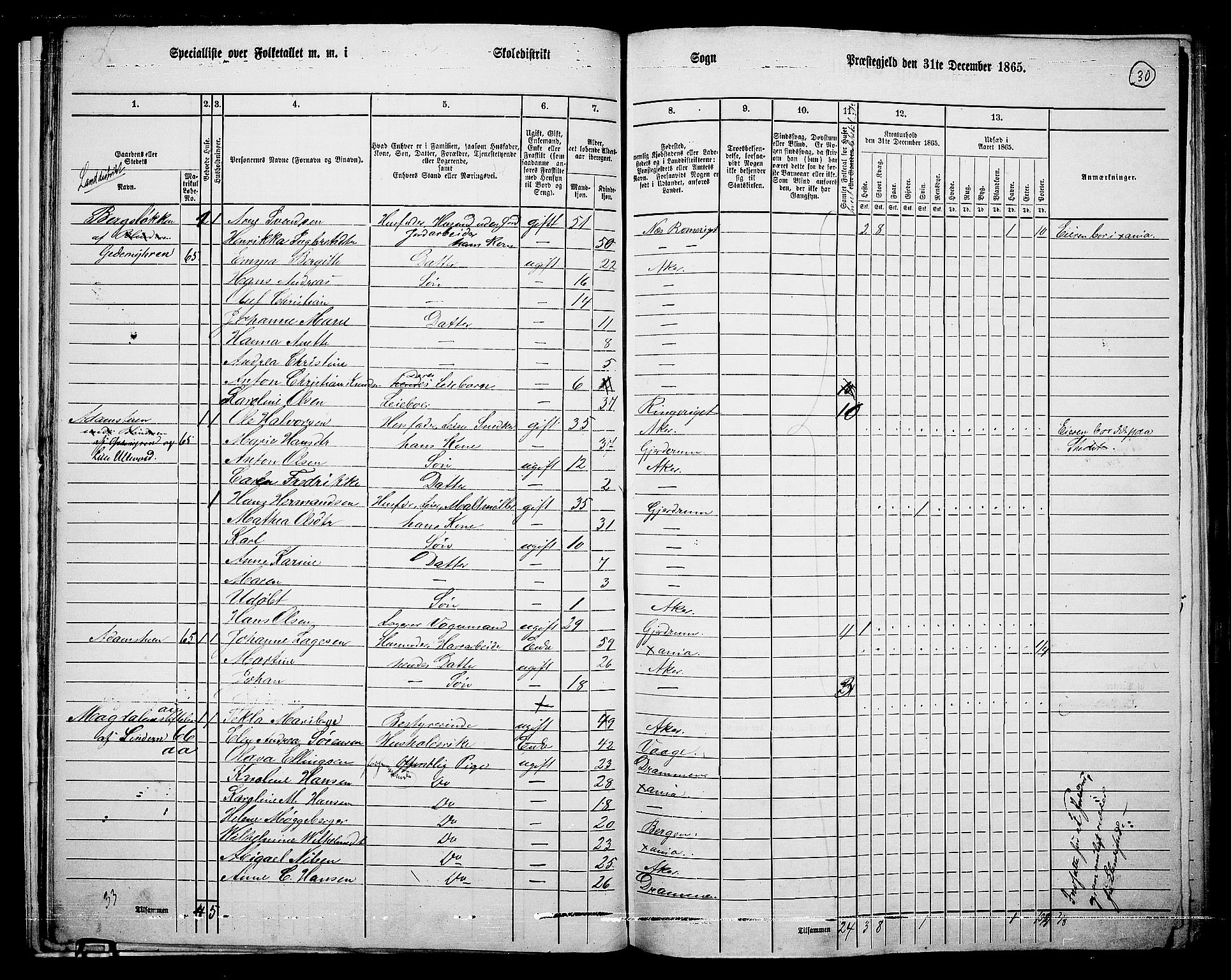 RA, 1865 census for Vestre Aker, 1865, p. 27