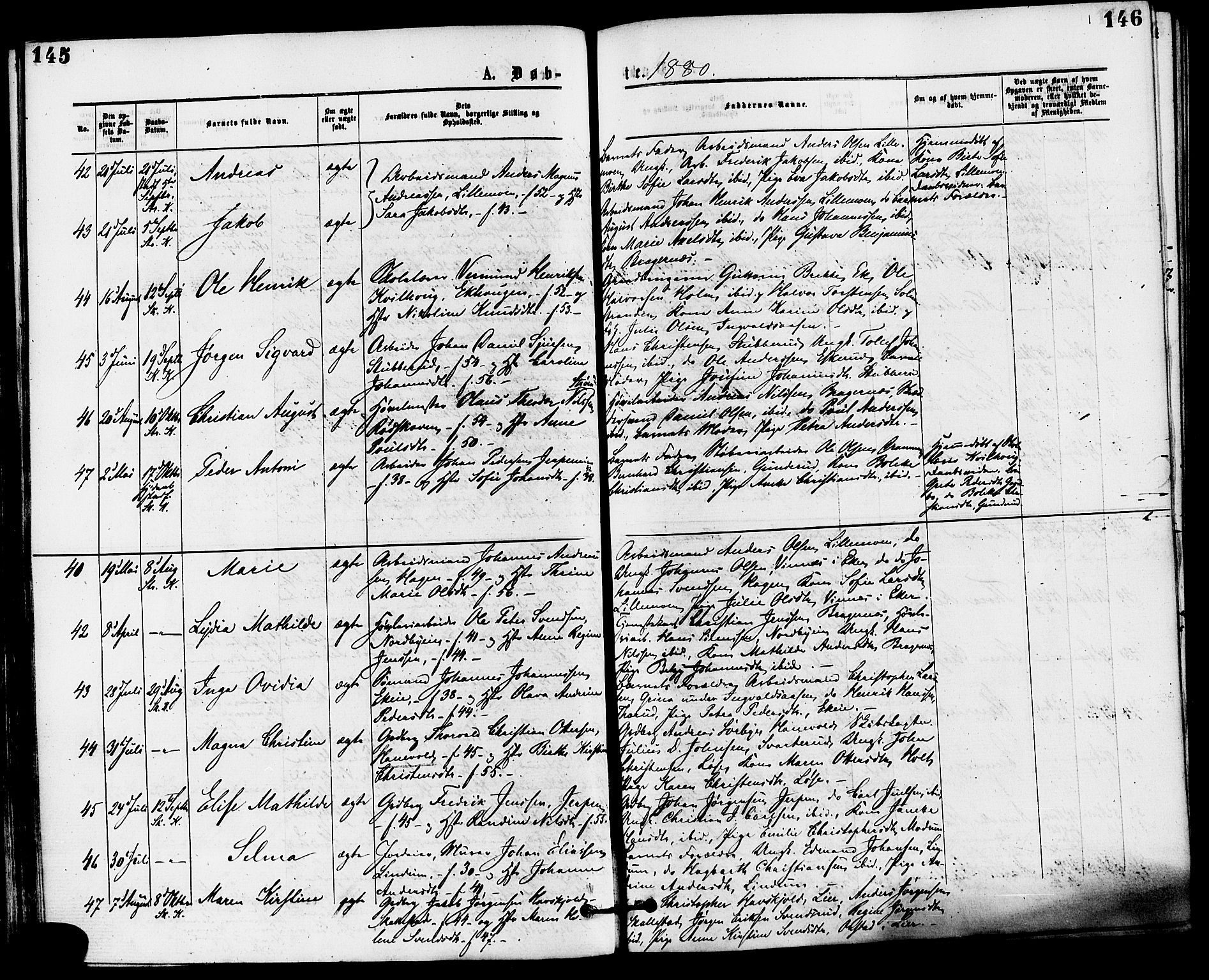 Skoger kirkebøker, AV/SAKO-A-59/F/Fa/L0005: Parish register (official) no. I 5, 1873-1884, p. 145-146