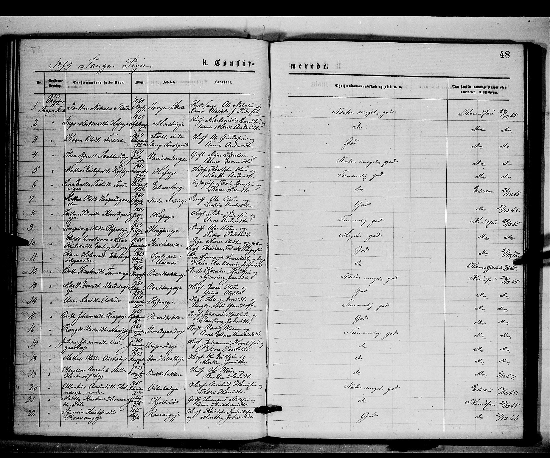 Stange prestekontor, AV/SAH-PREST-002/K/L0016: Parish register (official) no. 16, 1874-1879, p. 48