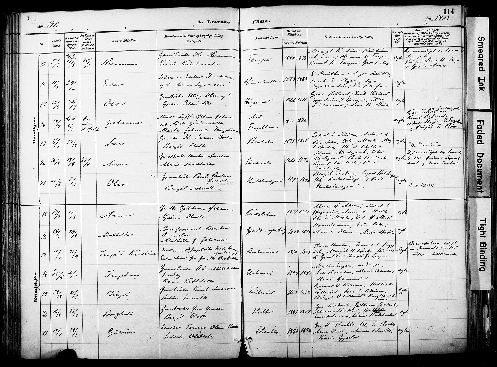 Hol kirkebøker, AV/SAKO-A-227/F/Fa/L0003: Parish register (official) no. I 3, 1887-1918, p. 114