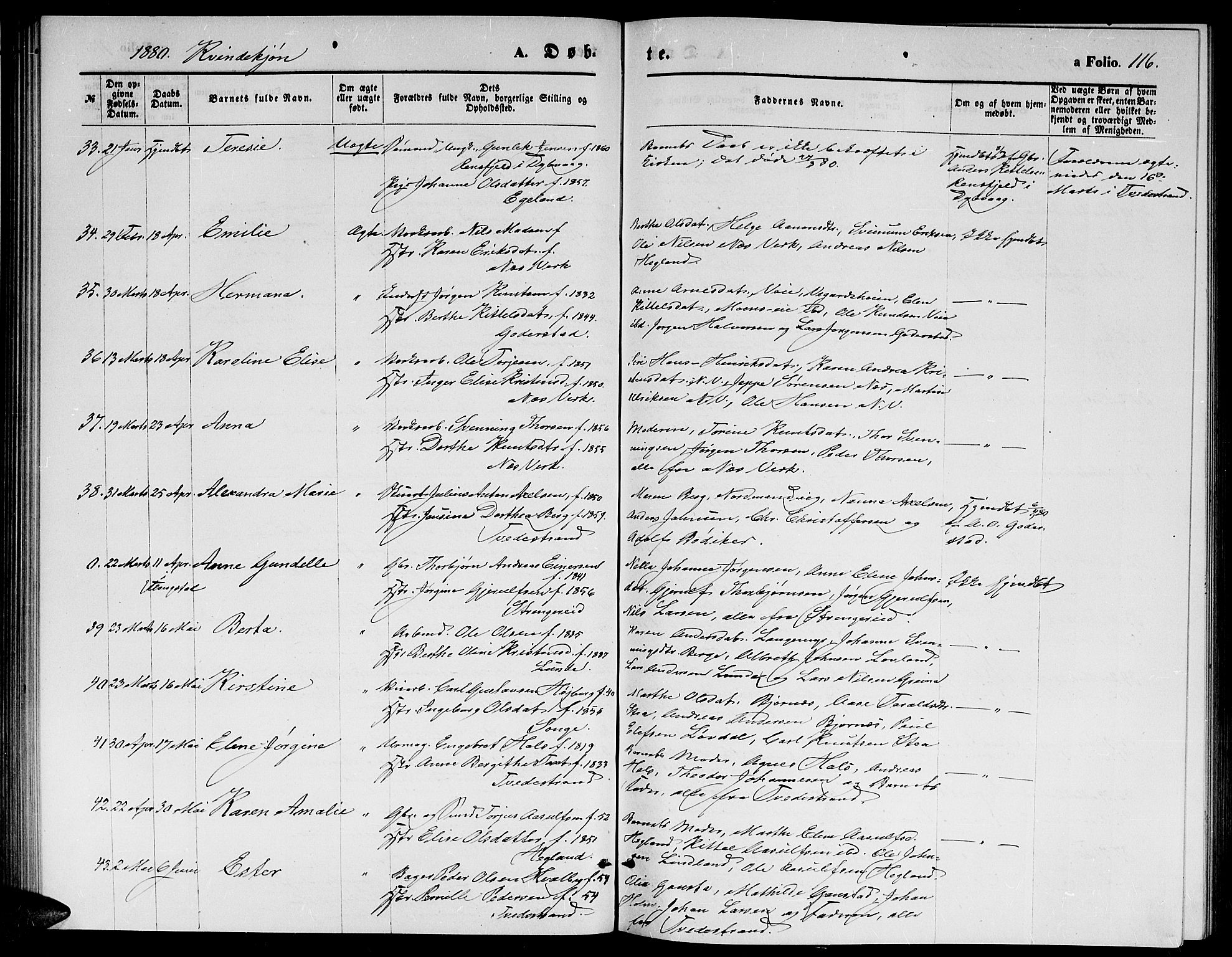 Holt sokneprestkontor, AV/SAK-1111-0021/F/Fb/L0009: Parish register (copy) no. B 9, 1871-1883, p. 116