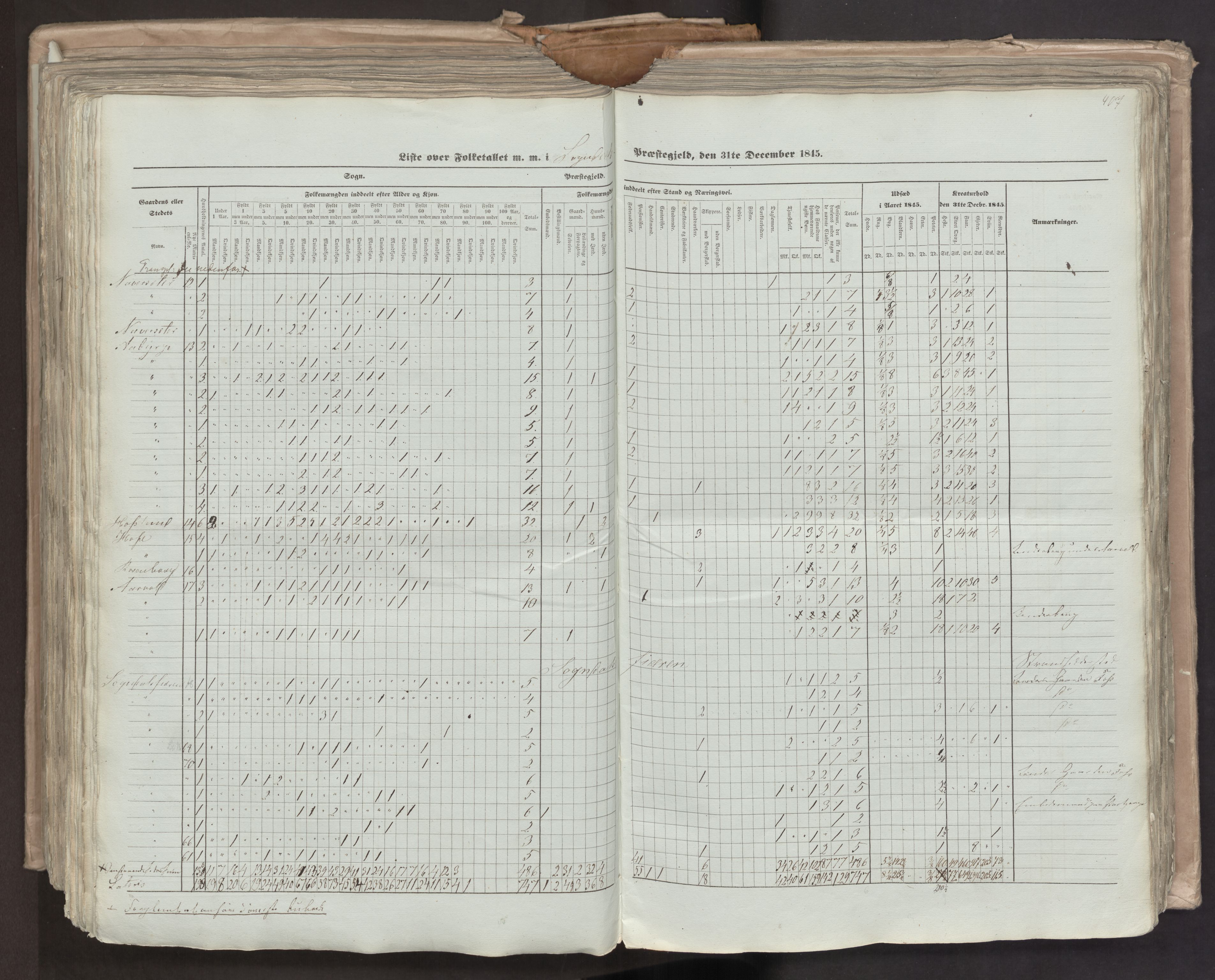 RA, Census 1845, vol. 7: Søndre Bergenhus amt og Nordre Bergenhus amt, 1845, p. 407